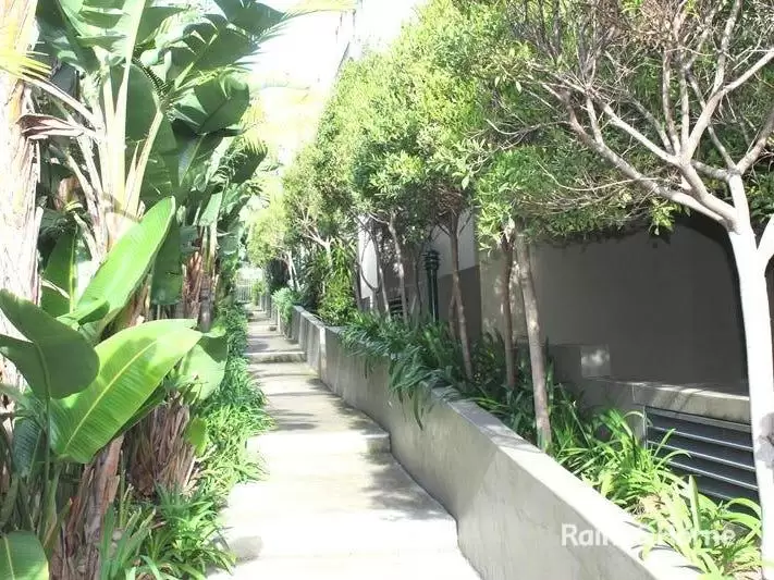 20/6A Cowper Street, Randwick For Lease by Raine & Horne Randwick | Coogee | Clovelly - image 6