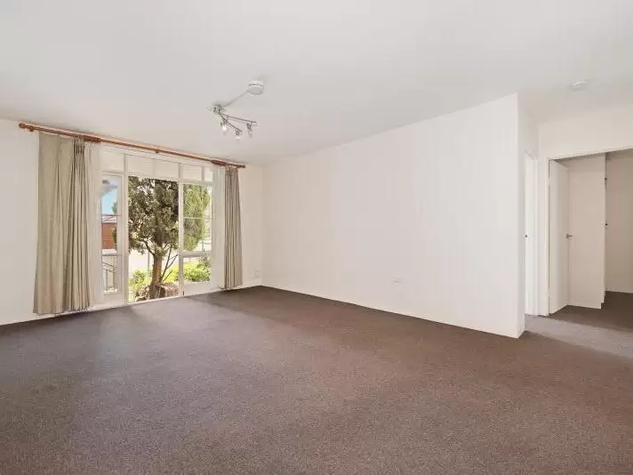 3/70 Cowper Street, Randwick Leased by Raine & Horne Randwick | Coogee | Clovelly - image 5