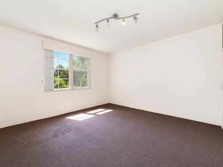 3/70 Cowper Street, Randwick Leased by Raine & Horne Randwick | Coogee | Clovelly - image 4