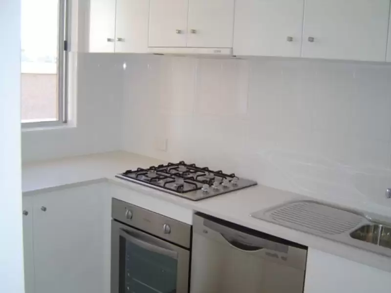 16 Roscrea Avenue, Randwick Leased by Raine & Horne Randwick | Coogee | Clovelly - image 2