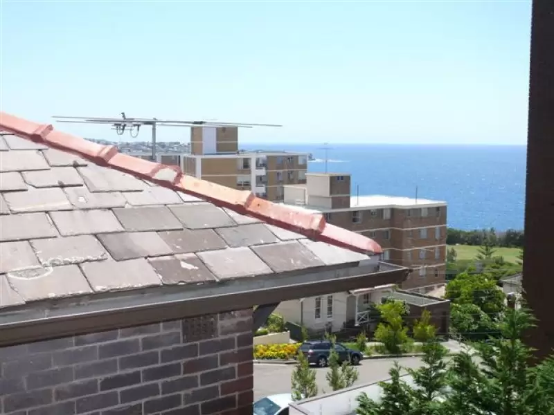 321 Arden Street, Coogee Leased by Raine & Horne Randwick | Coogee - image 9