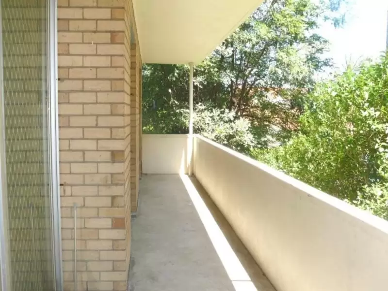 6 Blenheim Street, Randwick Leased by Raine & Horne Randwick | Coogee | Clovelly - image 5