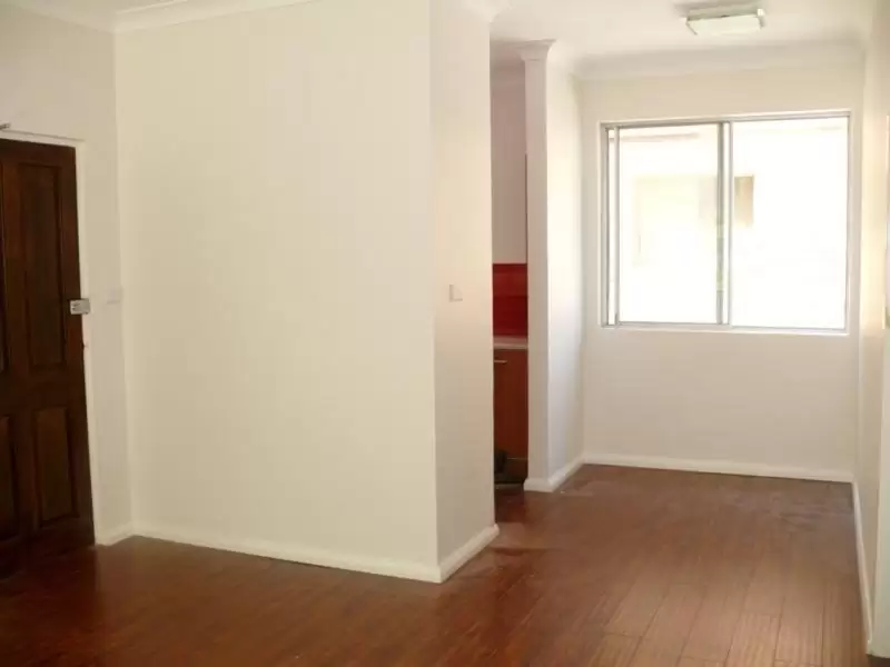6 Blenheim Street, Randwick Leased by Raine & Horne Randwick | Coogee | Clovelly - image 4