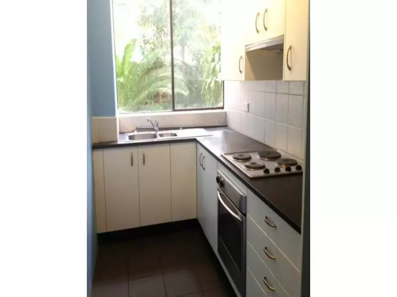 244 Alison Road, Randwick Leased by Raine & Horne Randwick | Coogee | Clovelly - image 2