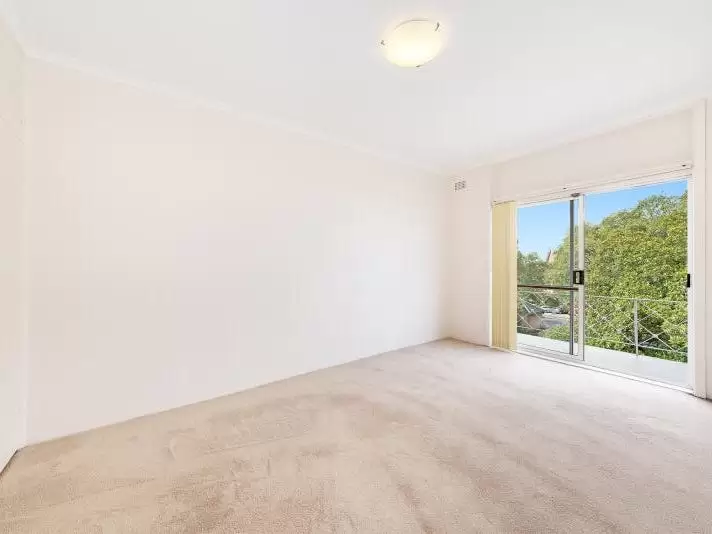 8/185 Avoca Street, Randwick For Lease by Raine & Horne Randwick | Coogee | Clovelly - image 2