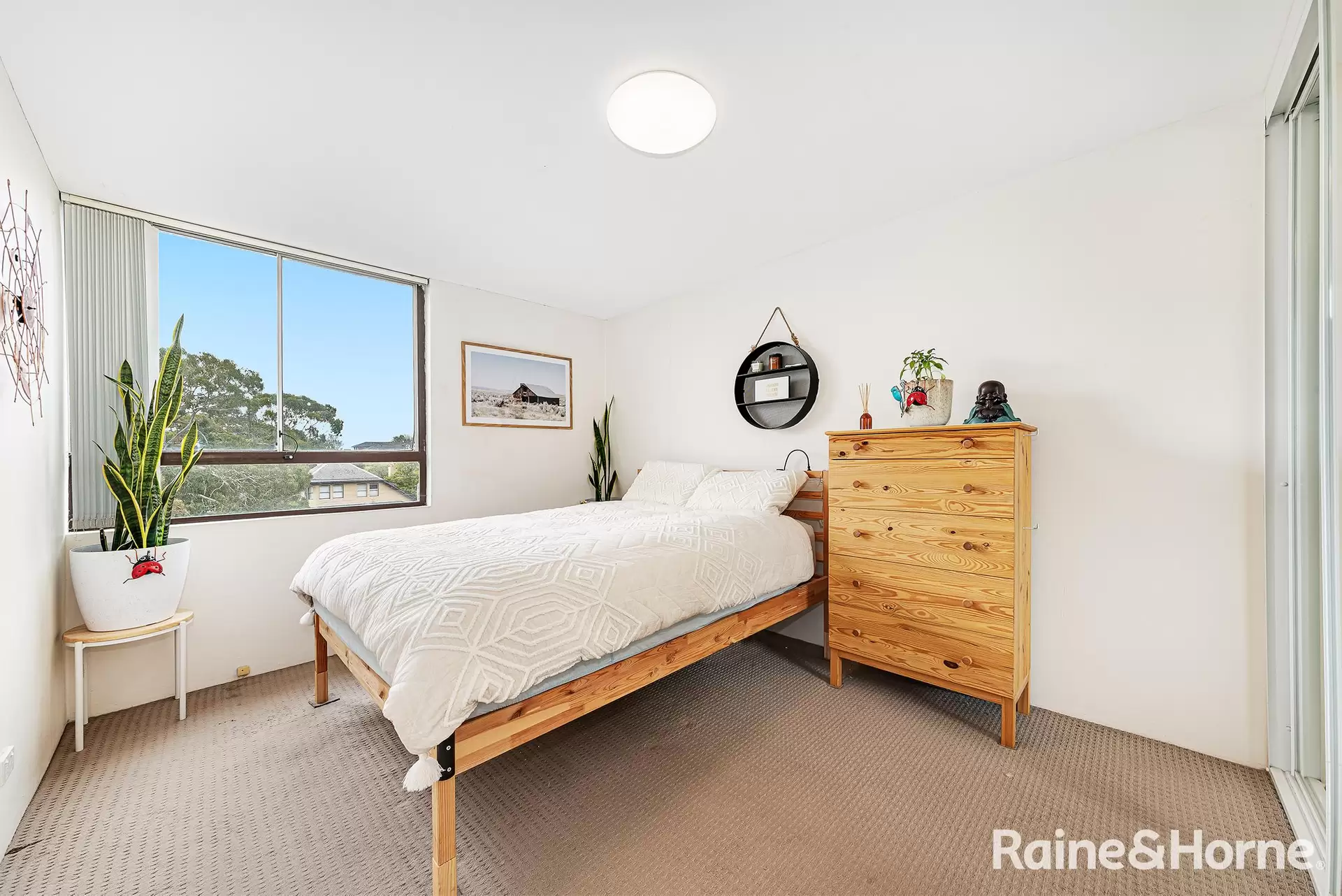 8F/14 Bligh Place, Randwick Leased by Raine & Horne Randwick | Coogee | Clovelly - image 1