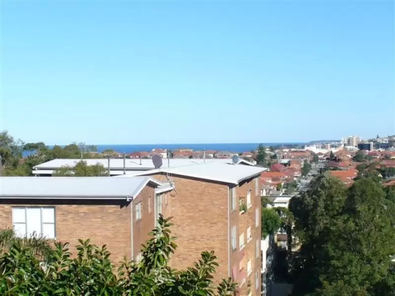 57 Nancy Street, North Bondi Leased by Raine & Horne Randwick | Coogee | Clovelly - image 3