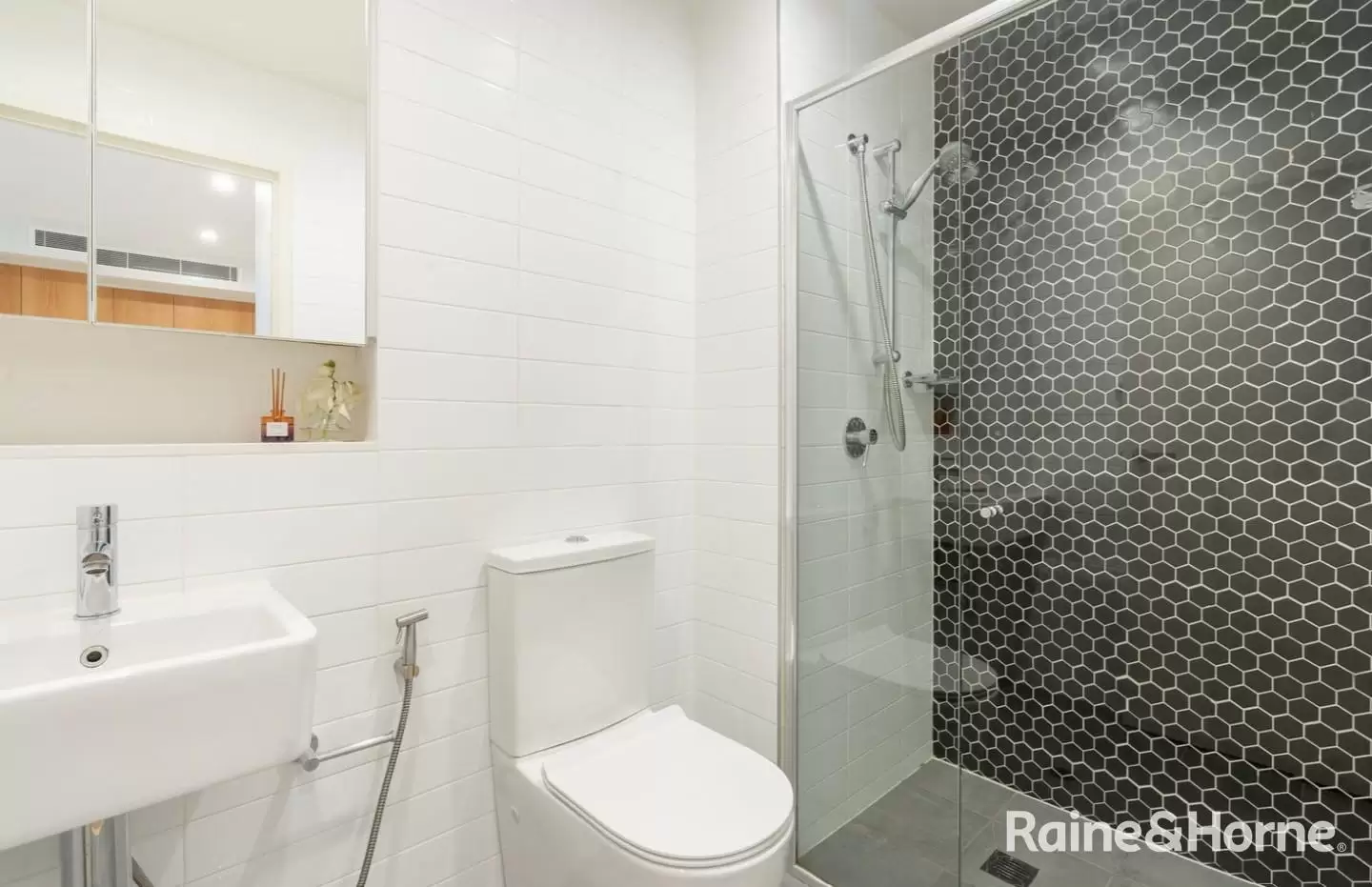 401/165 Frederick Street, Bexley Leased by Raine & Horne Randwick | Coogee | Clovelly - image 4