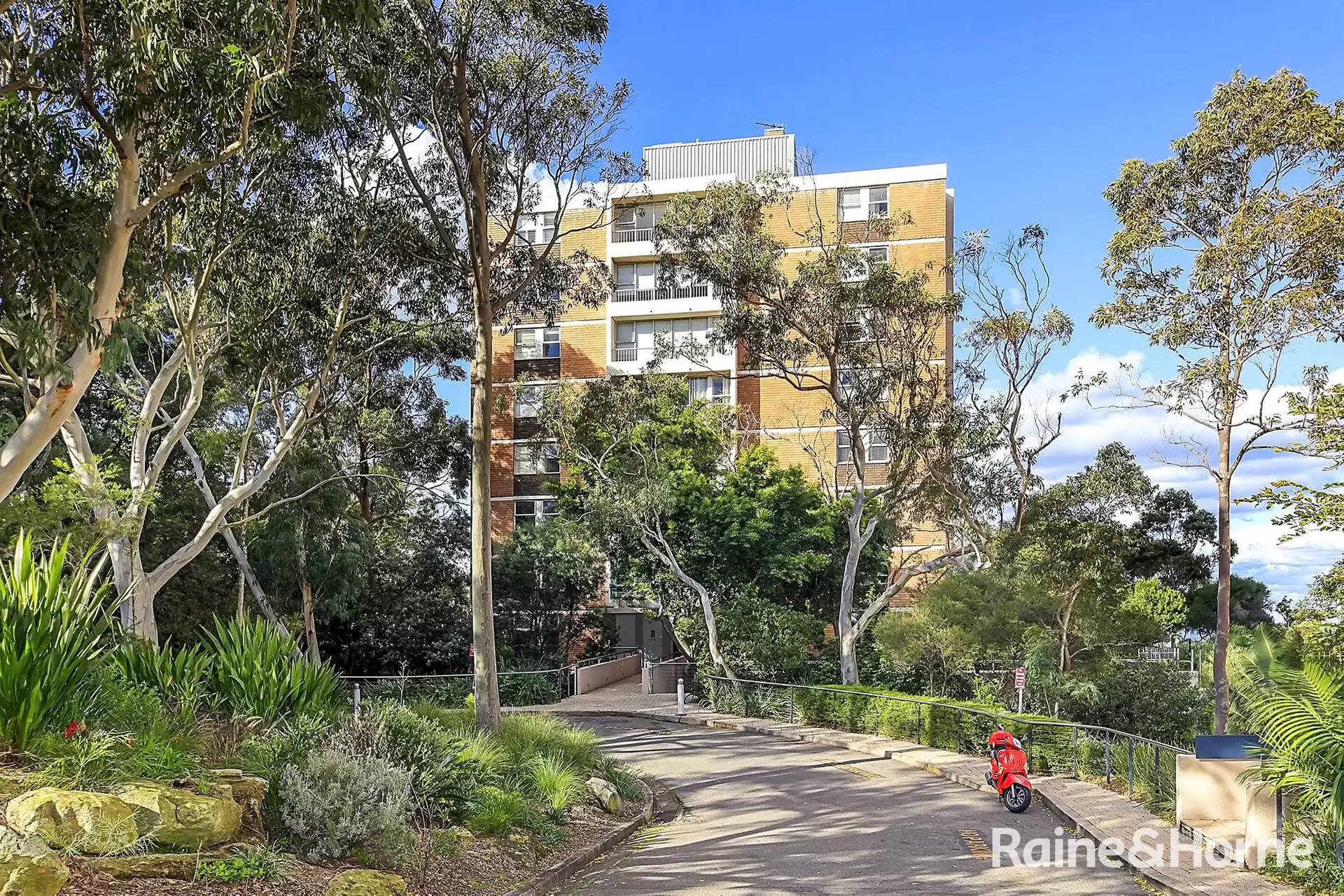 96/67 St Marks Road, Randwick Leased by Raine & Horne Randwick | Coogee | Clovelly - image 1