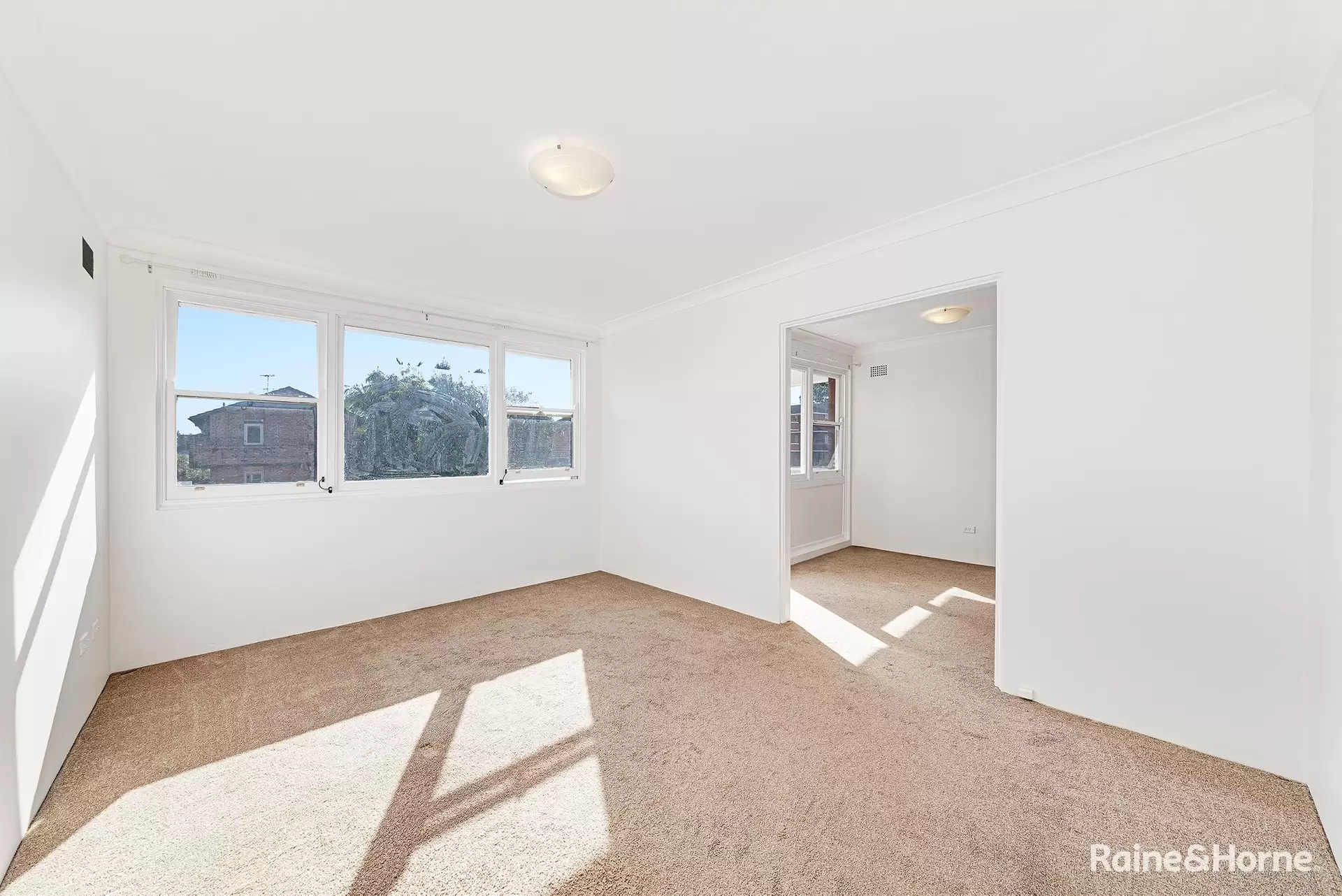 5/16 Blenheim Street, Randwick Leased by Raine & Horne Randwick | Coogee | Clovelly - image 1