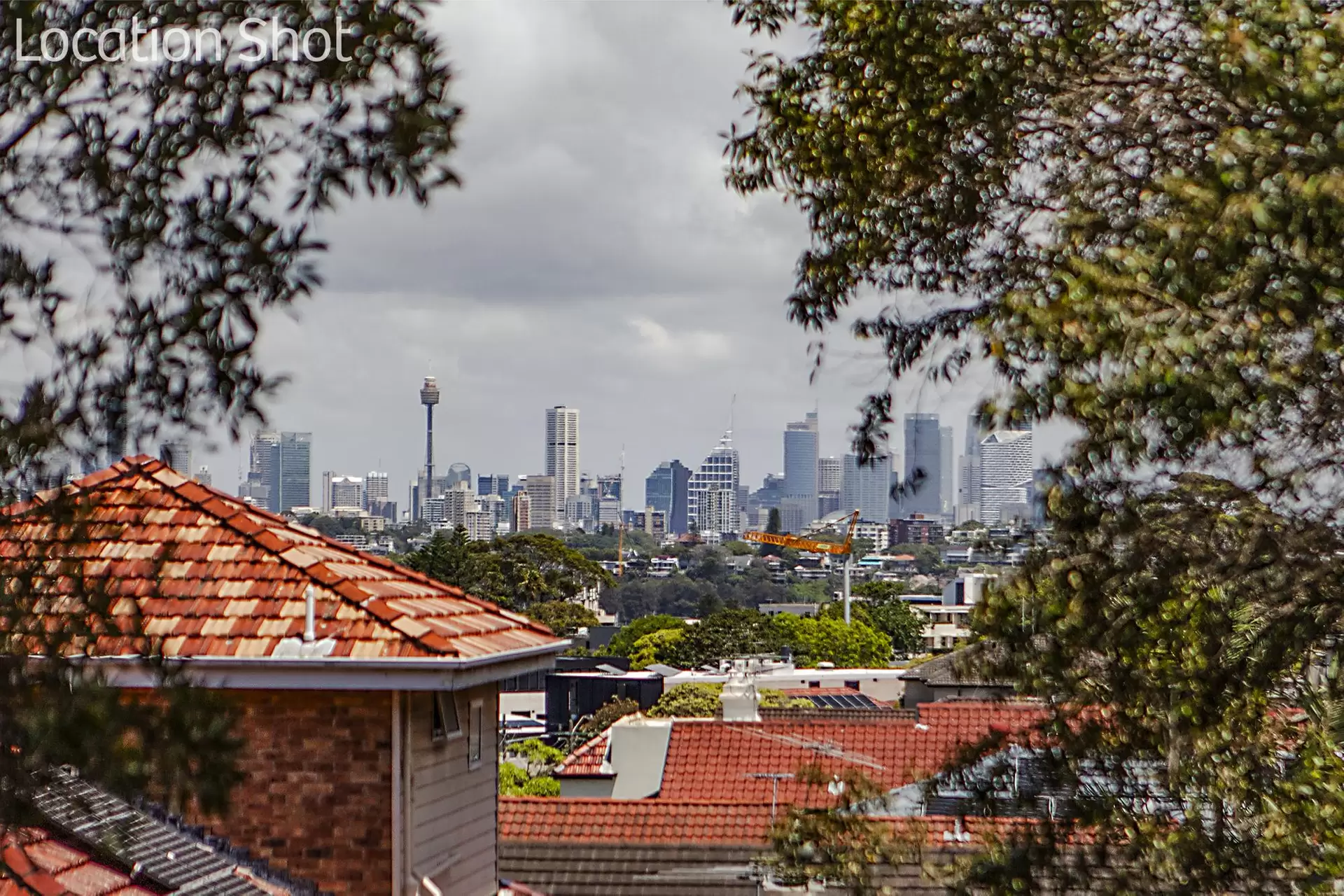 25/11-15 Gilbert Street, Dover Heights For Lease by Raine & Horne Randwick | Coogee | Clovelly - image 1