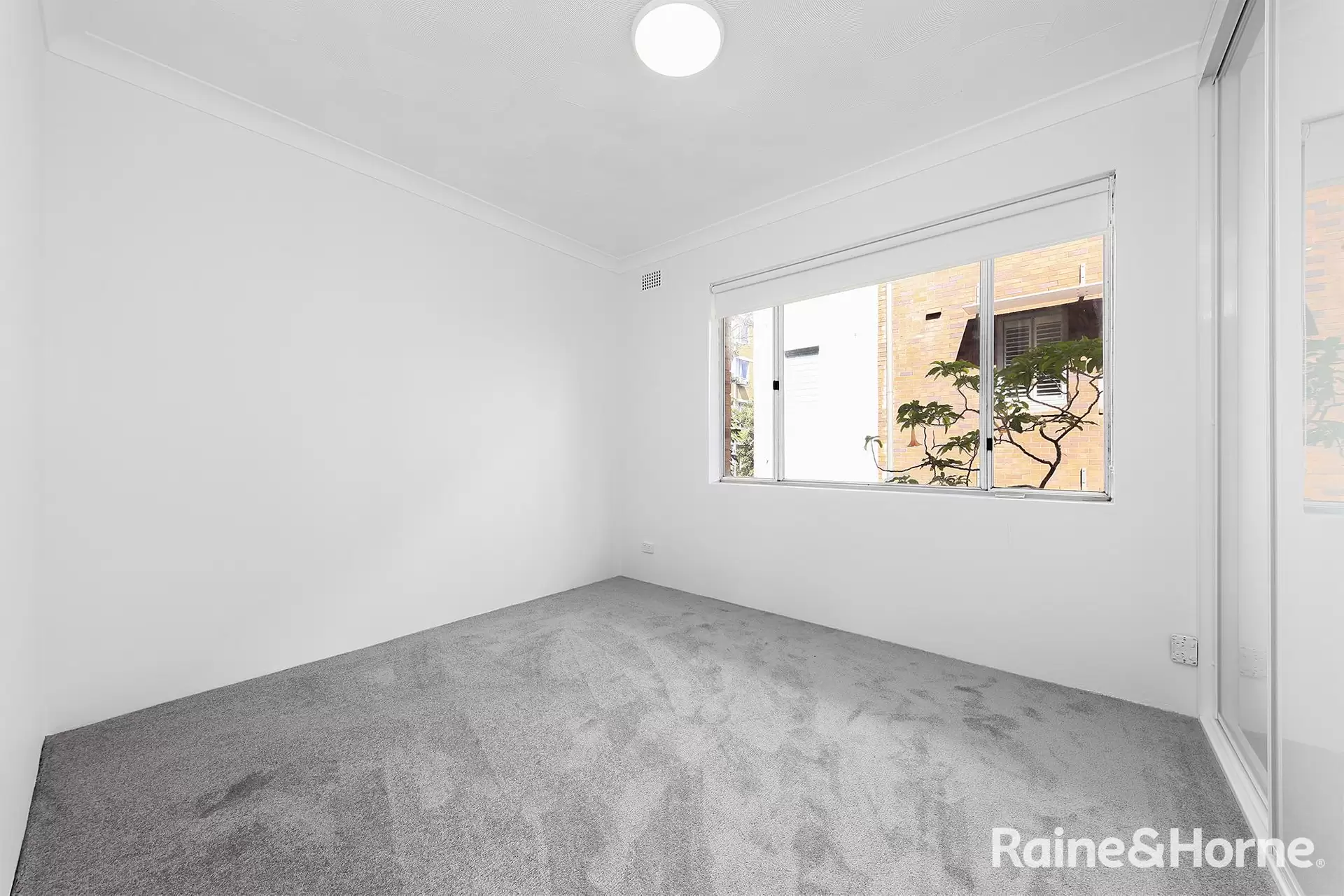 3/3 Albert Street, Randwick Leased by Raine & Horne Randwick | Coogee | Clovelly - image 1