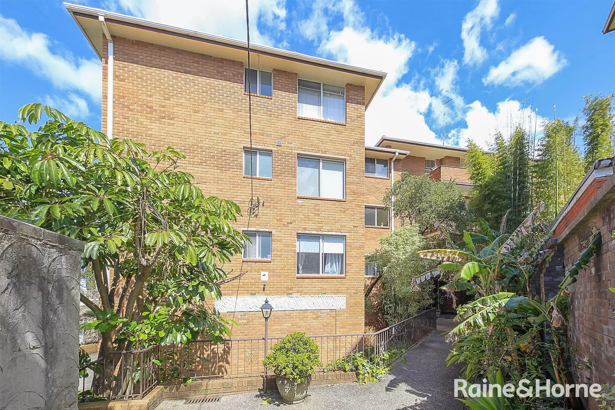 3/3 Albert Street, Randwick Leased by Raine & Horne Randwick | Coogee | Clovelly - image 1