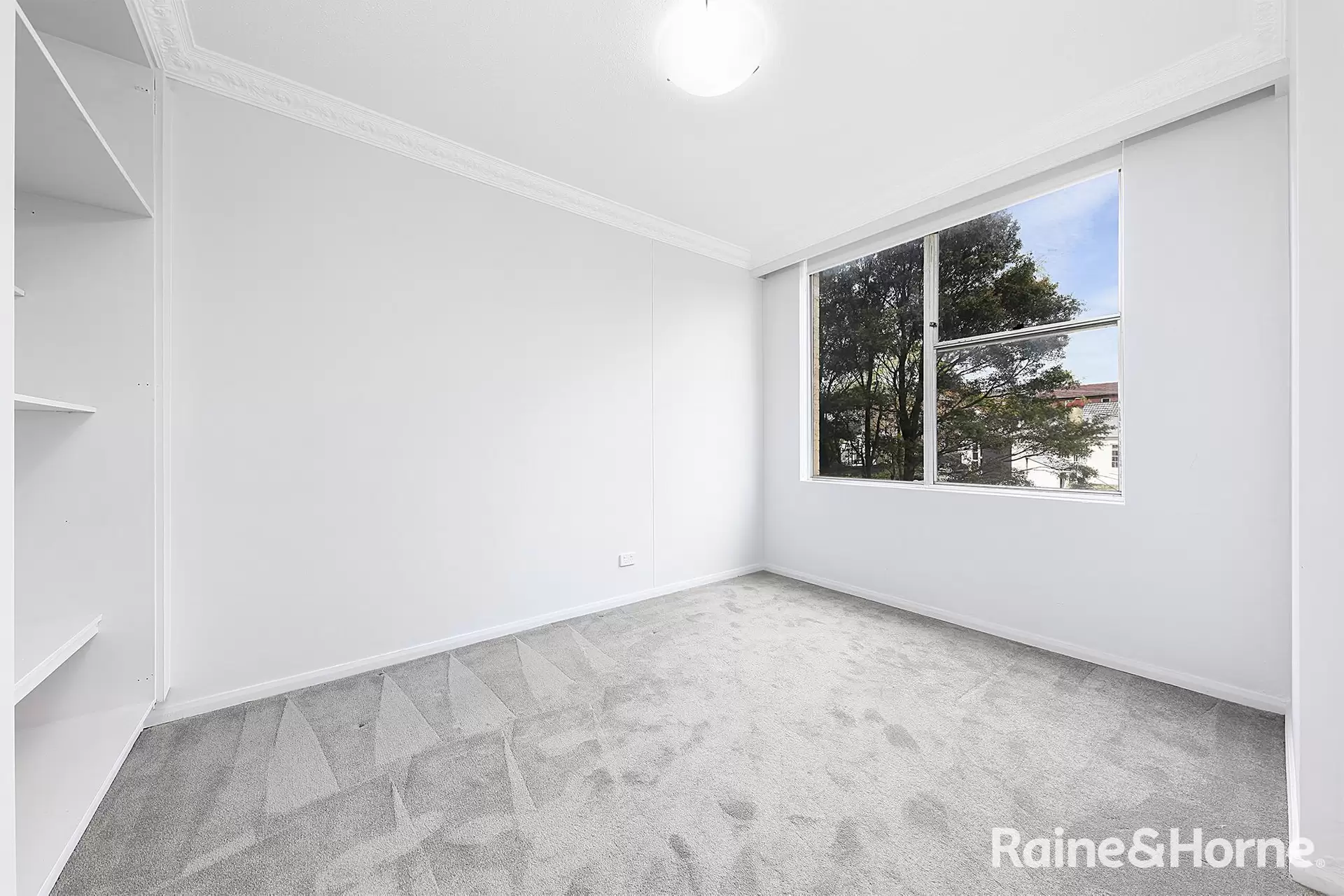 101/2 Roscrea Avenue, Randwick For Lease by Raine & Horne Randwick | Coogee | Clovelly - image 1