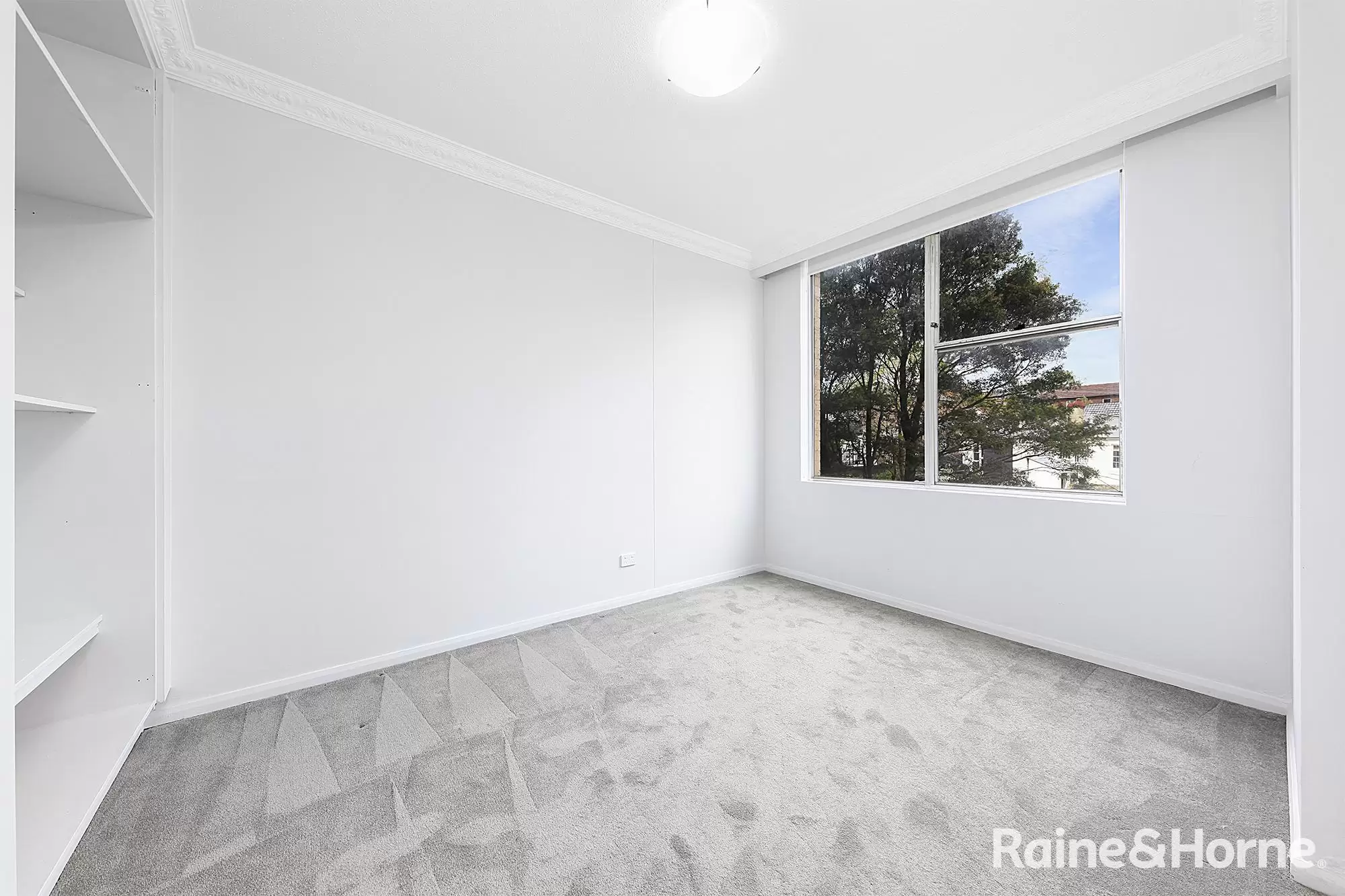 101/2 Roscrea Avenue, Randwick For Lease by Raine & Horne Randwick | Coogee | Clovelly - image 6