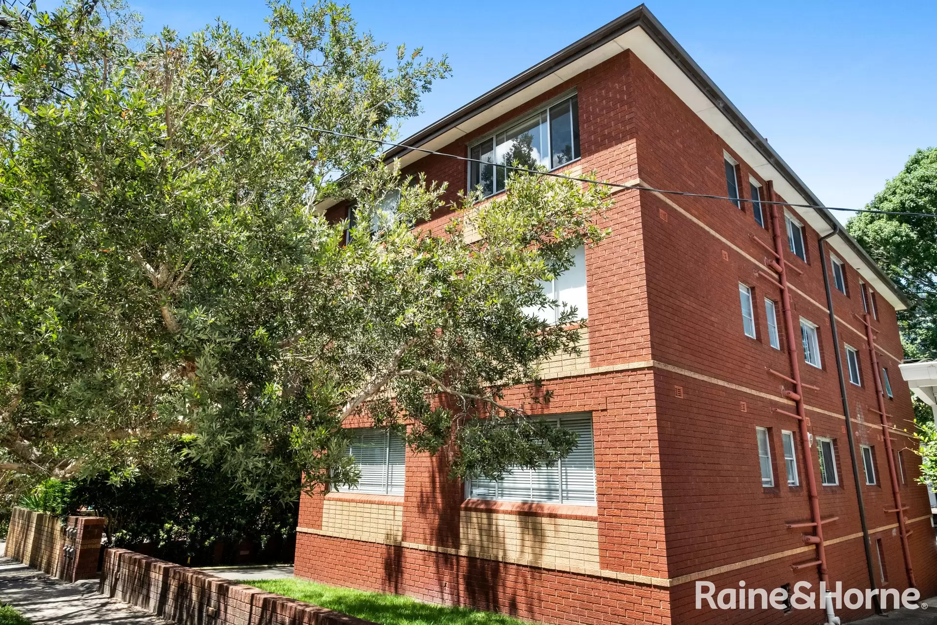 4/5 St Luke Street, Randwick Auction by Raine & Horne Randwick | Coogee | Clovelly - image 1