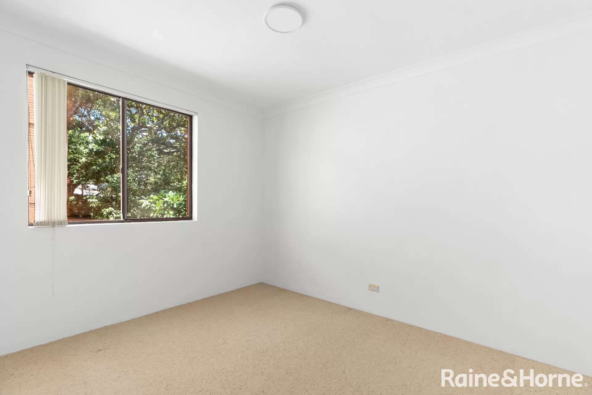 17/1 Pitt Street, Randwick Leased by Raine & Horne Randwick | Coogee | Clovelly - image 1