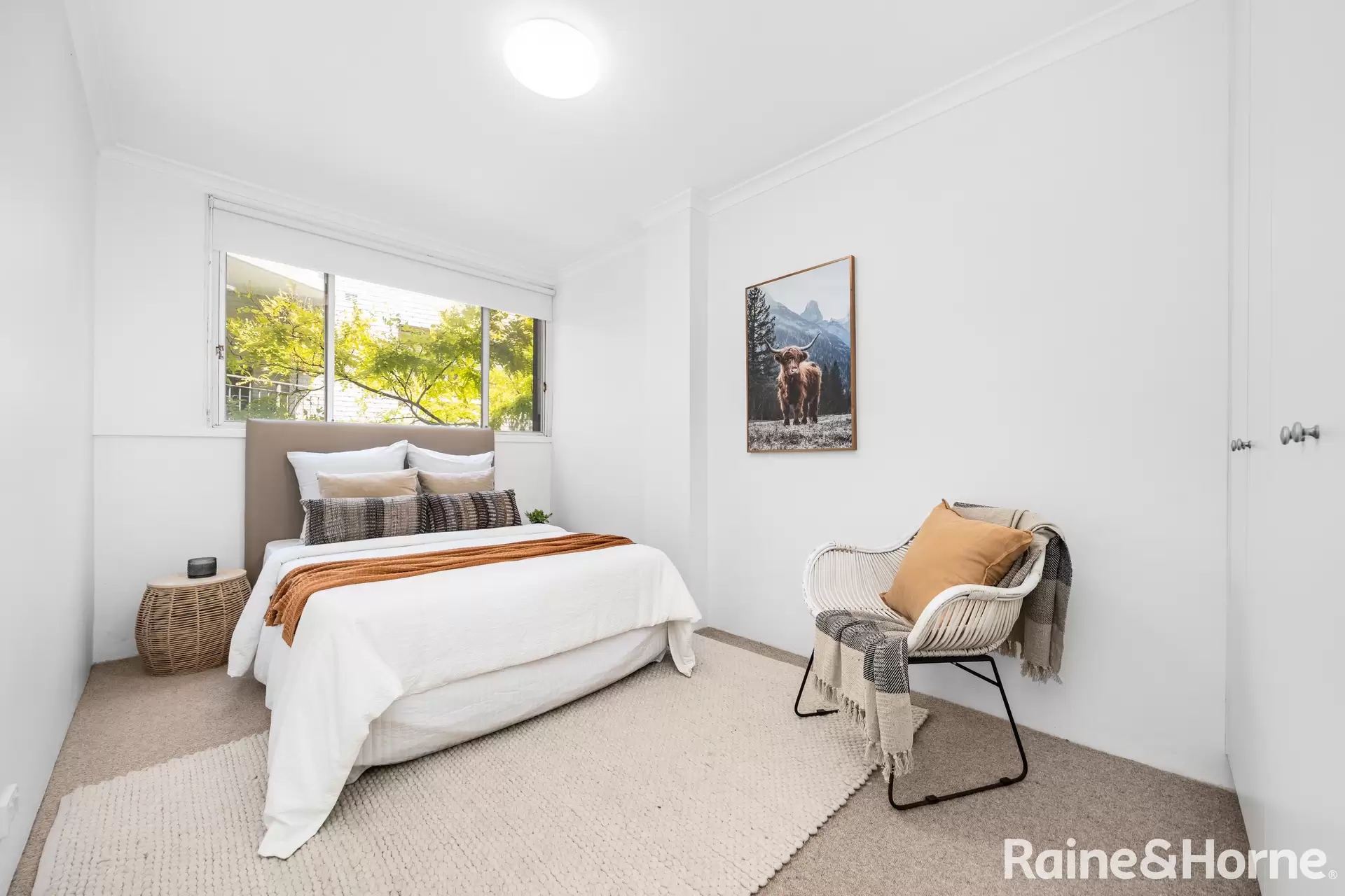 3/45 Prince Street, Randwick Auction by Raine & Horne Randwick | Coogee | Clovelly - image 1