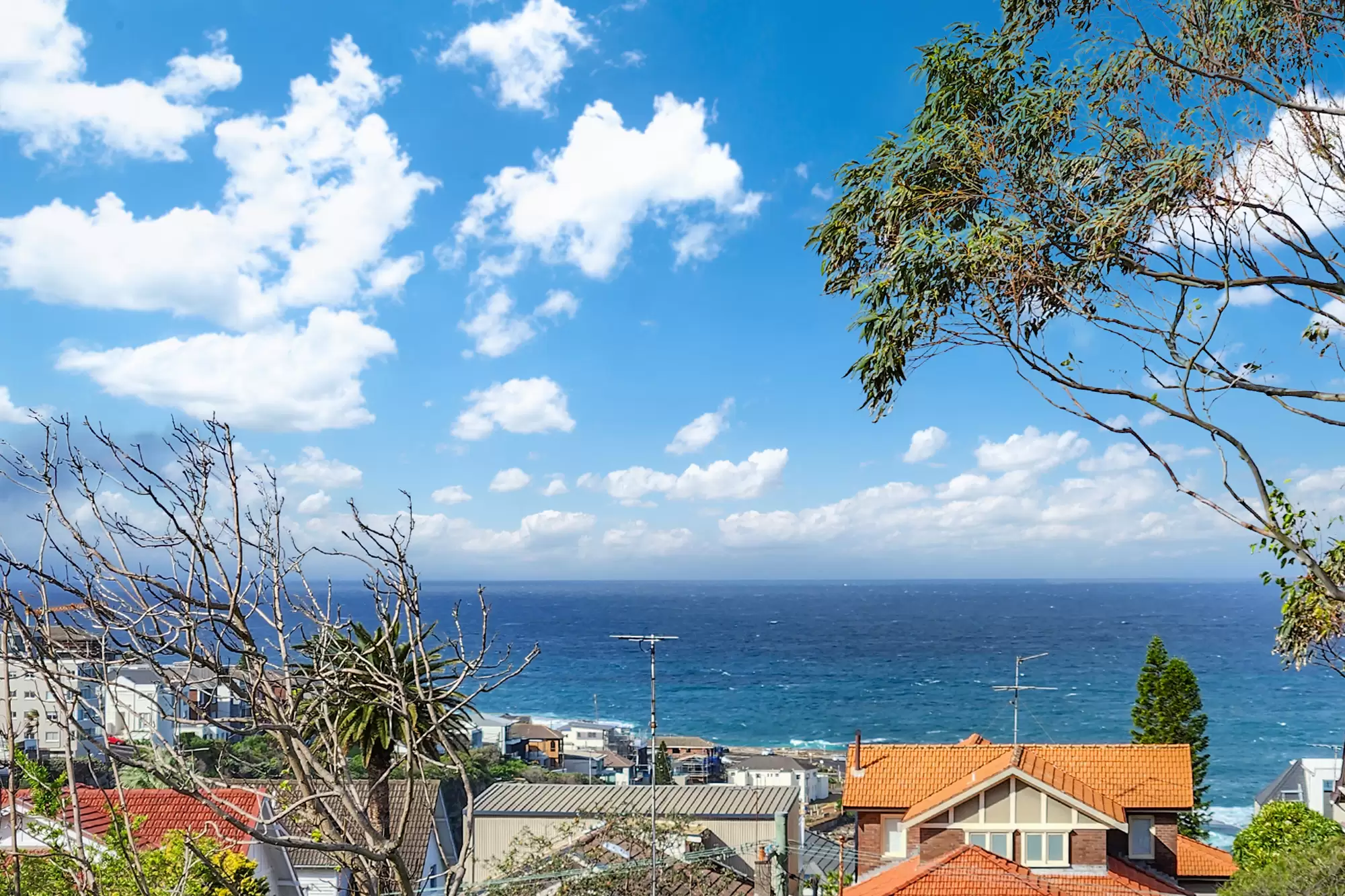 1/119 Arden Street, Coogee For Lease by Raine & Horne Randwick | Coogee | Clovelly - image 9