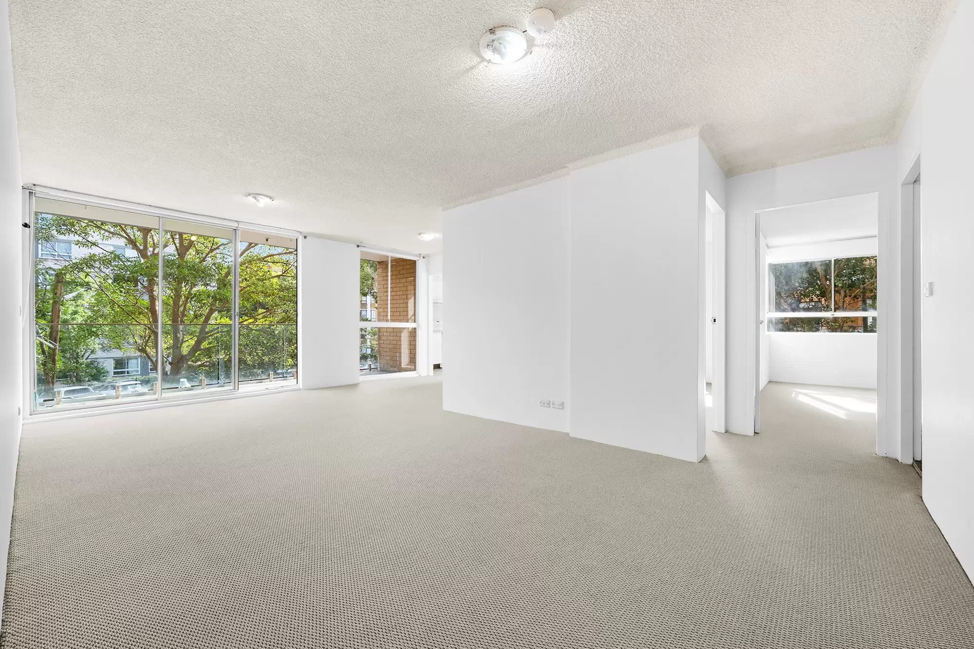 2D/16 Bligh Place, Randwick For Lease by Raine & Horne Randwick | Coogee | Clovelly - image 1