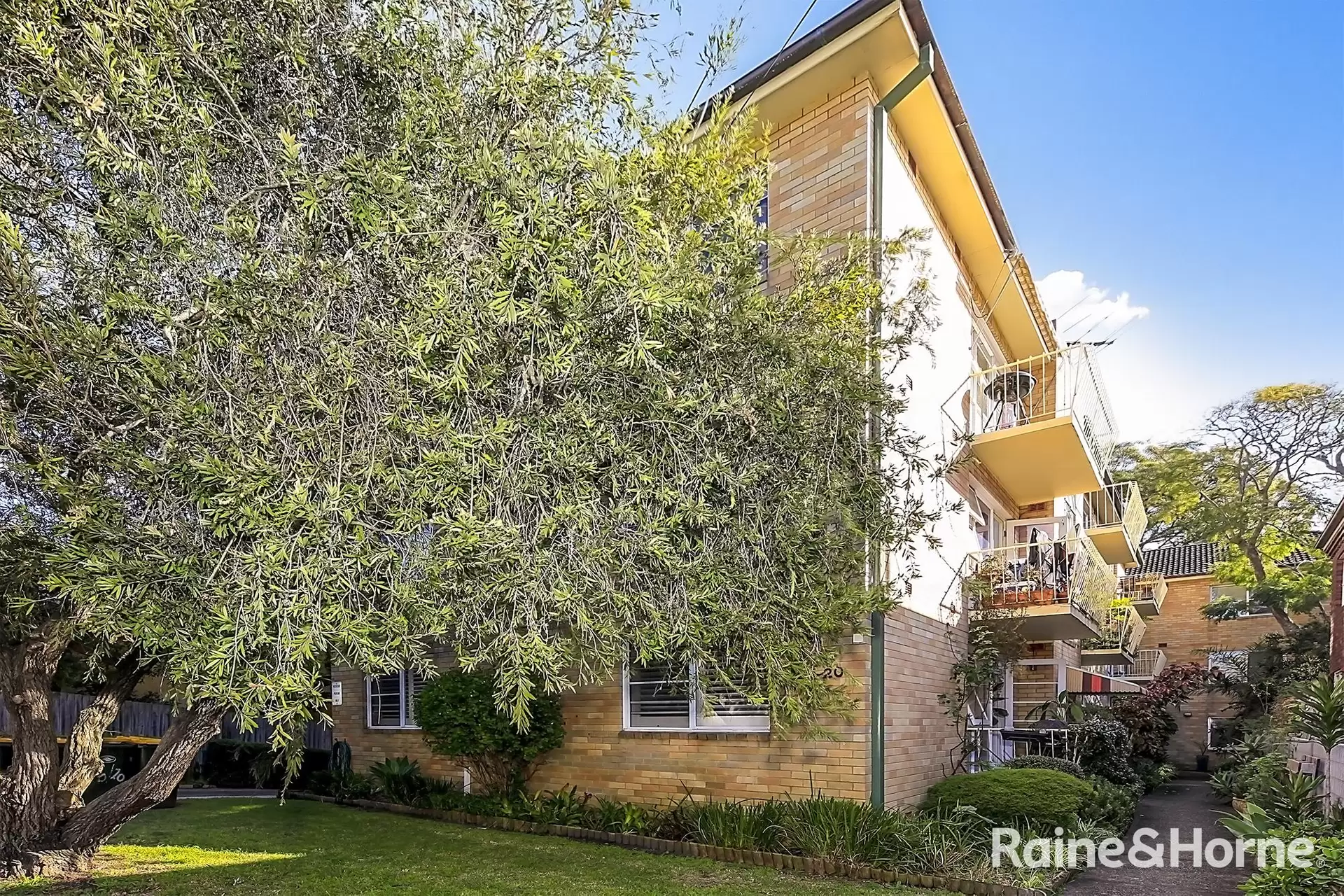 12/16 Park Avenue, Randwick For Lease by Raine & Horne Randwick | Coogee | Clovelly - image 1