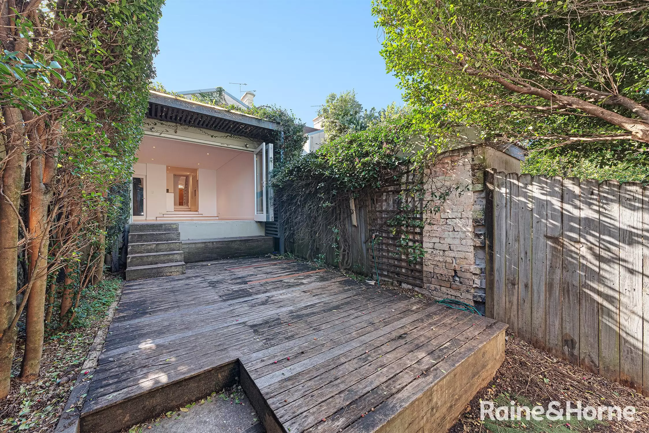 17 Stewart Street, Paddington For Lease by Raine & Horne Randwick | Coogee | Clovelly - image 5