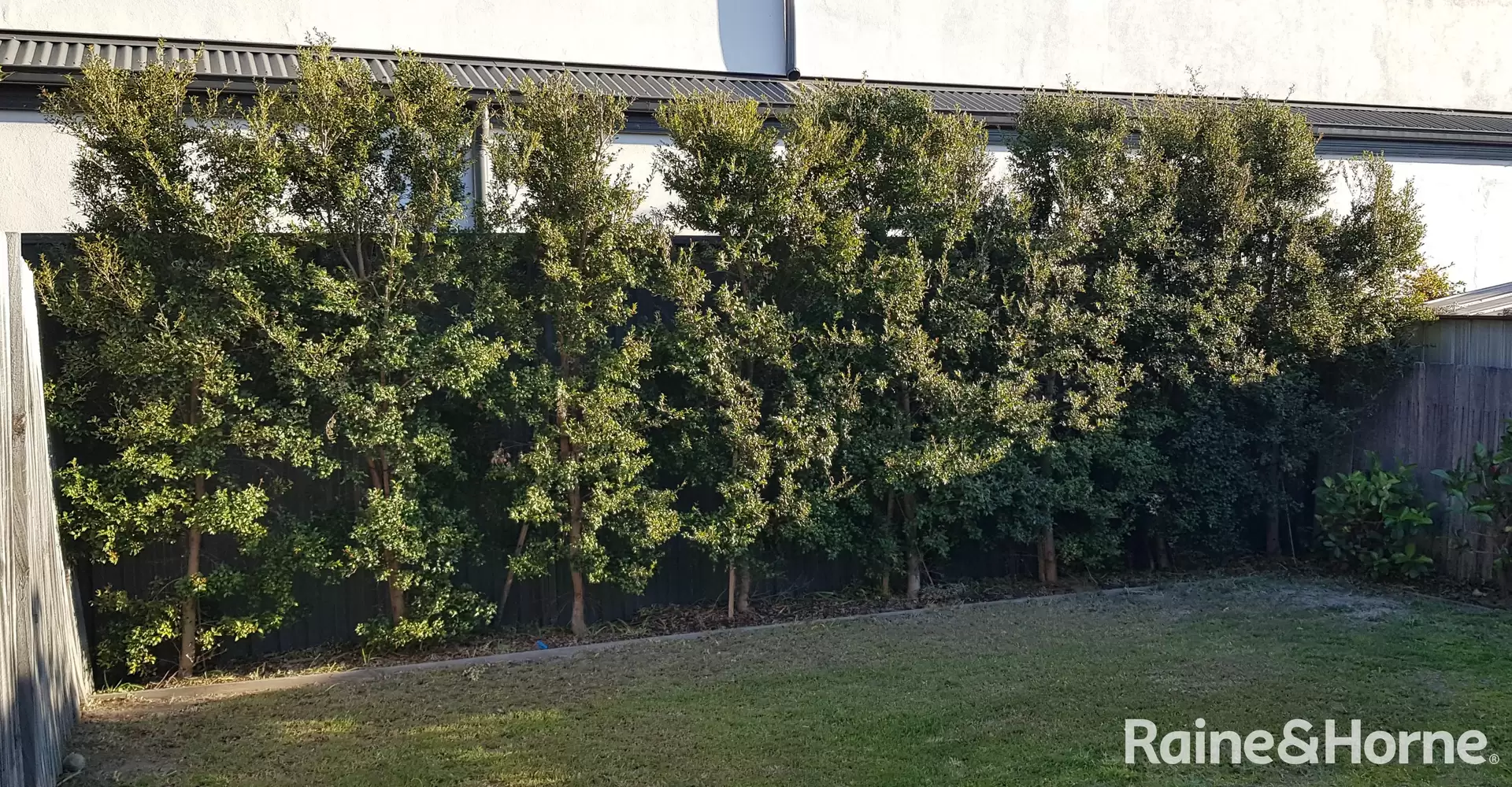 17 Middle Street, Kingsford For Lease by Raine & Horne Randwick | Coogee | Clovelly - image 1