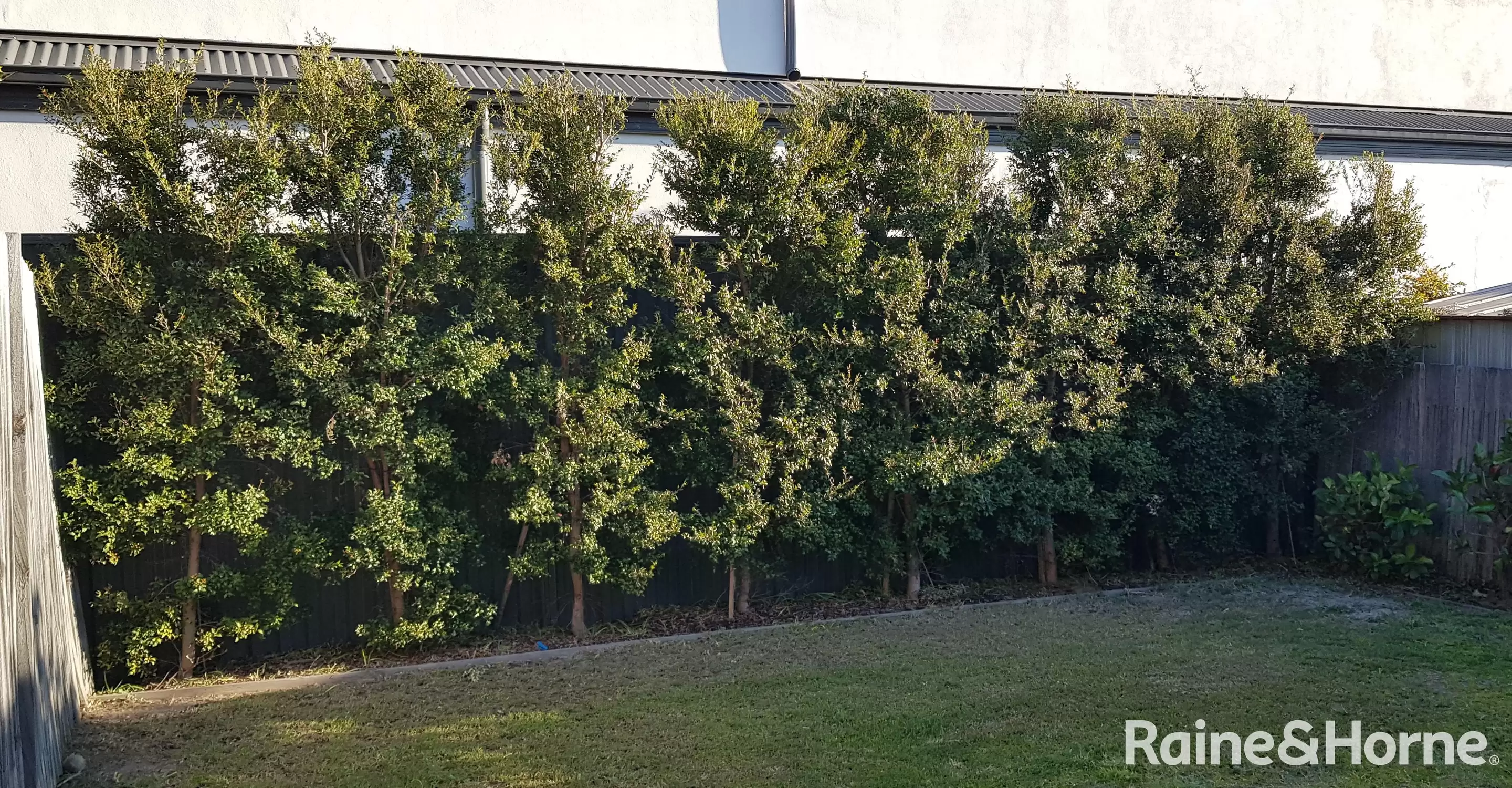 17 Middle Street, Kingsford For Lease by Raine & Horne Randwick | Coogee | Clovelly - image 8