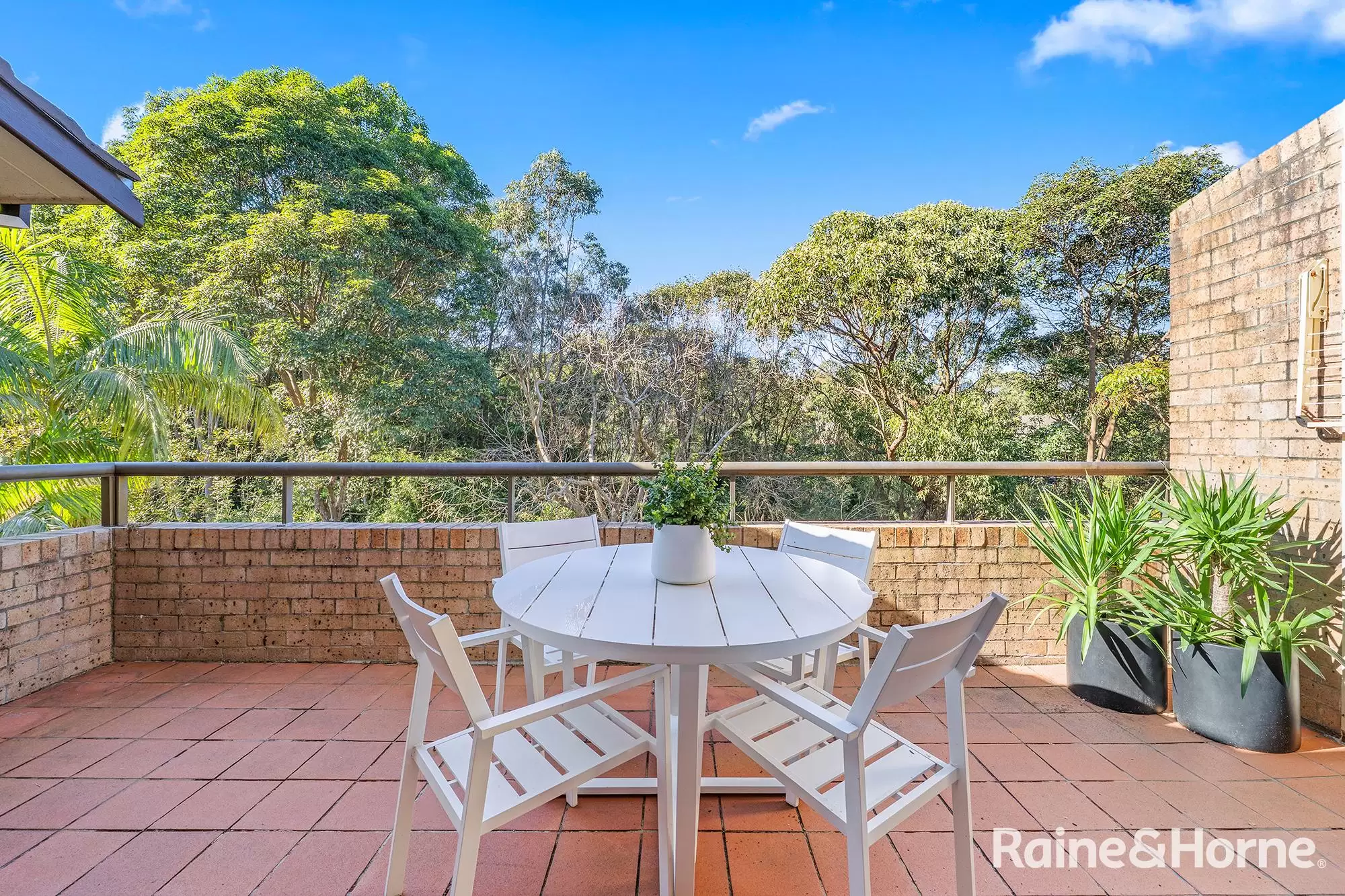 25/43A St Marks Road, Randwick Auction by Raine & Horne Randwick | Coogee | Clovelly - image 8
