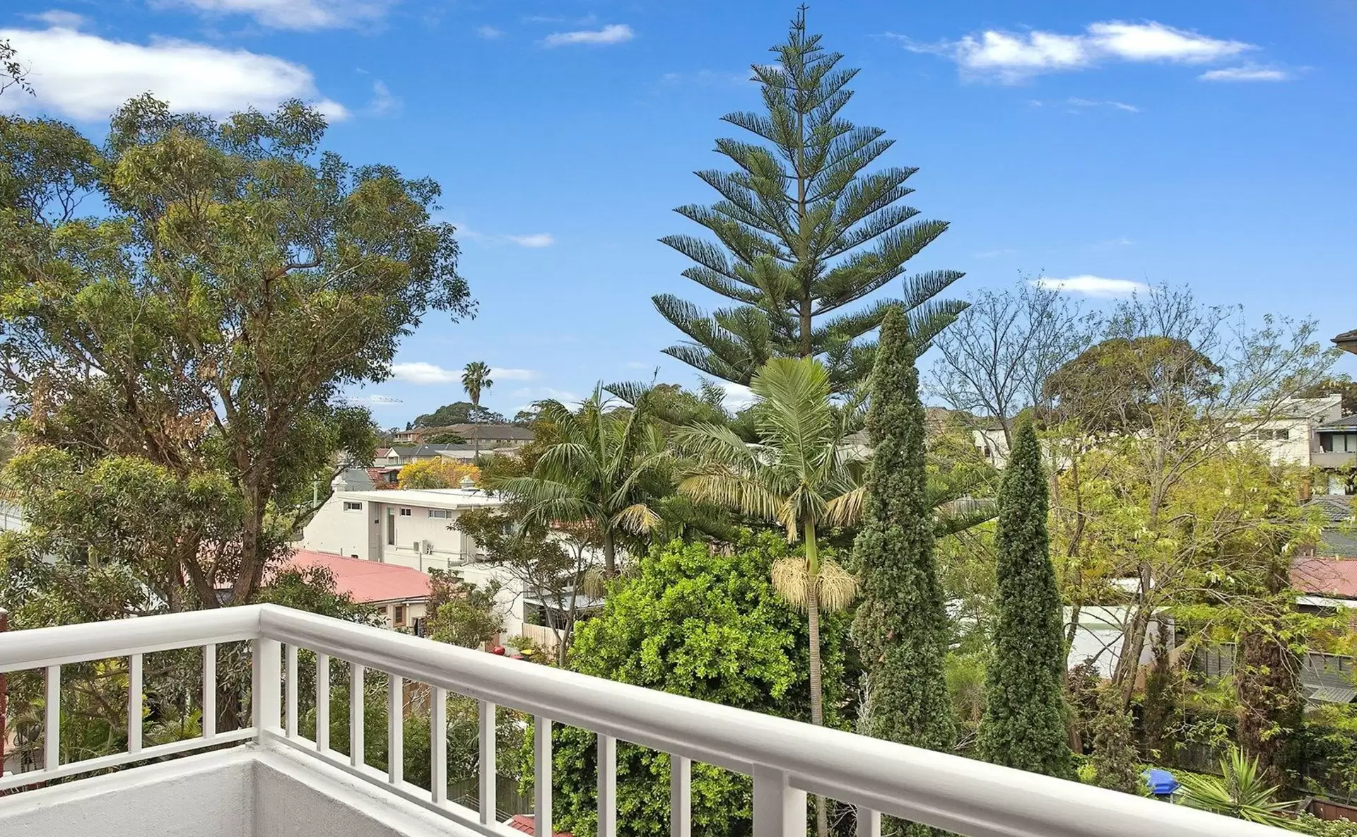 11/79 Gilderthorpe Ave, Randwick For Lease by Raine & Horne Randwick | Coogee | Clovelly