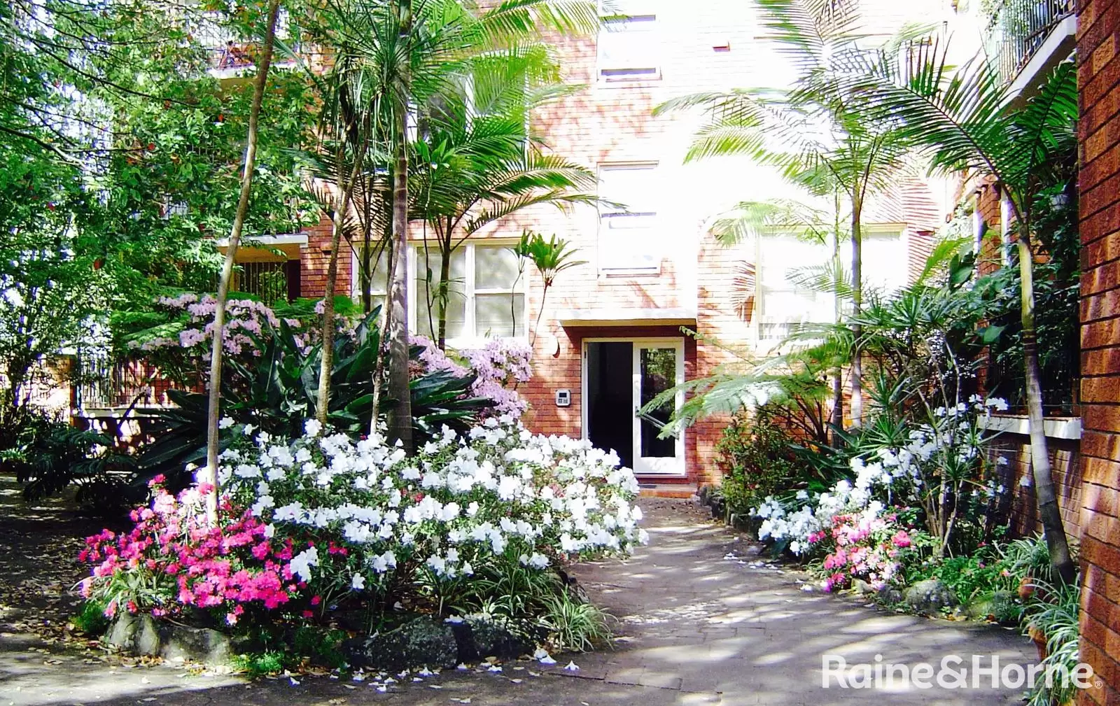 5/44 Waratah Avenue, Randwick For Lease by Raine & Horne Randwick | Coogee | Clovelly - image 7