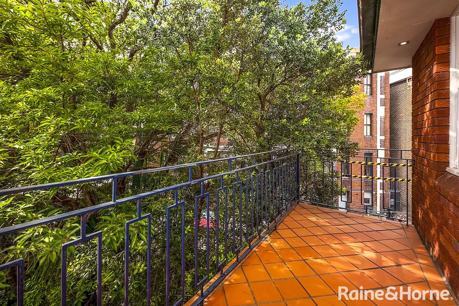 5/44 Waratah Avenue, Randwick For Lease by Raine & Horne Randwick | Coogee | Clovelly - image 1