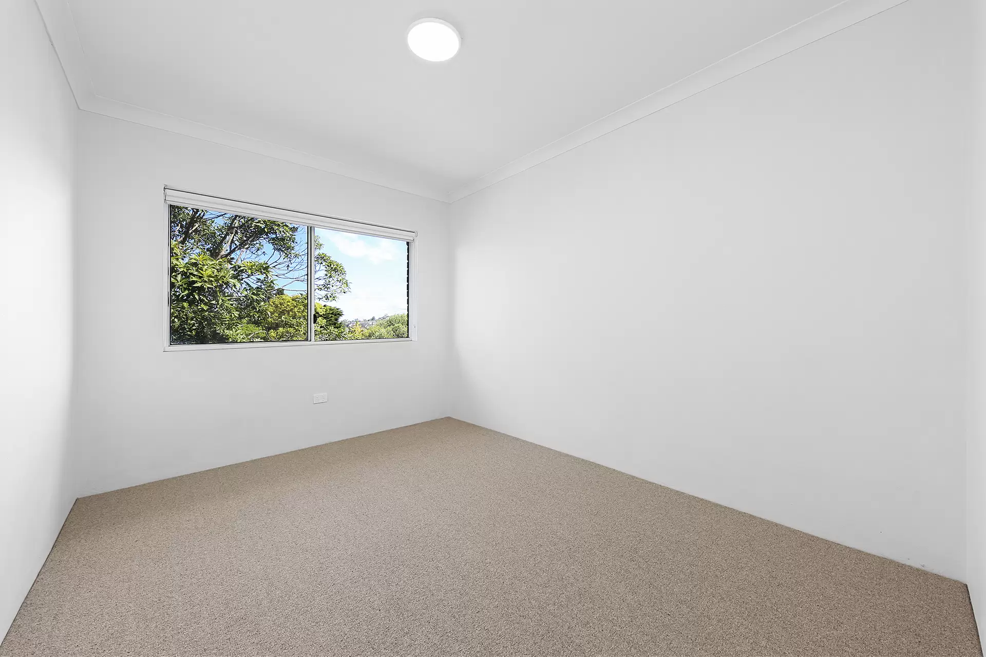 8/119 Arden Street, Coogee For Lease by Raine & Horne Randwick | Coogee | Clovelly - image 1