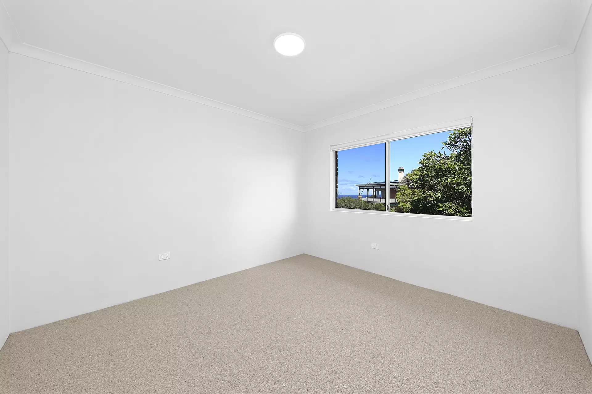 8/119 Arden Street, Coogee For Lease by Raine & Horne Randwick | Coogee | Clovelly - image 1