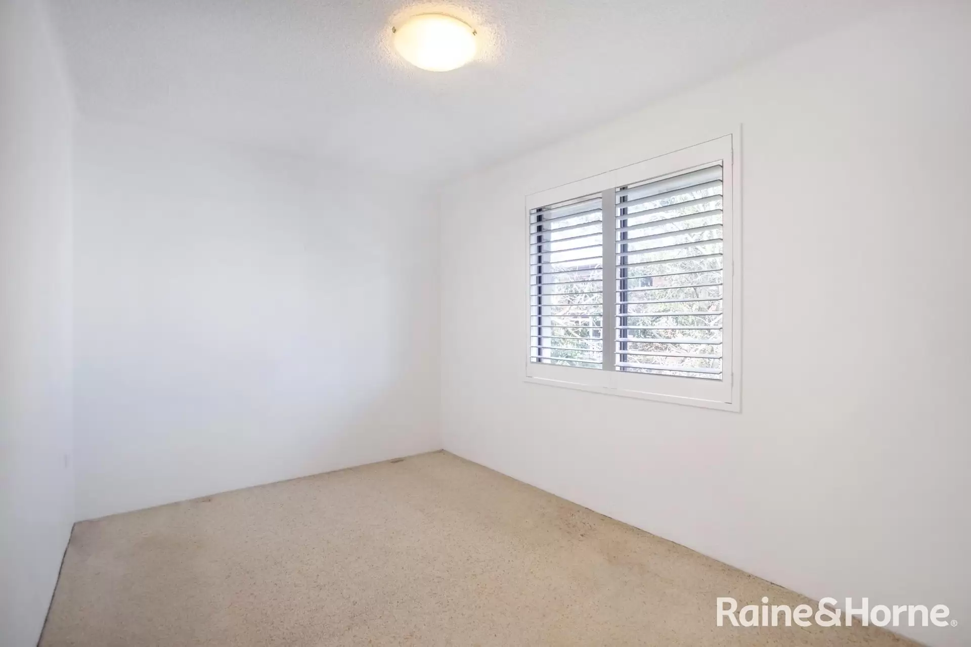 15/52 Coogee Street, Randwick For Lease by Raine & Horne Randwick | Coogee | Clovelly - image 1