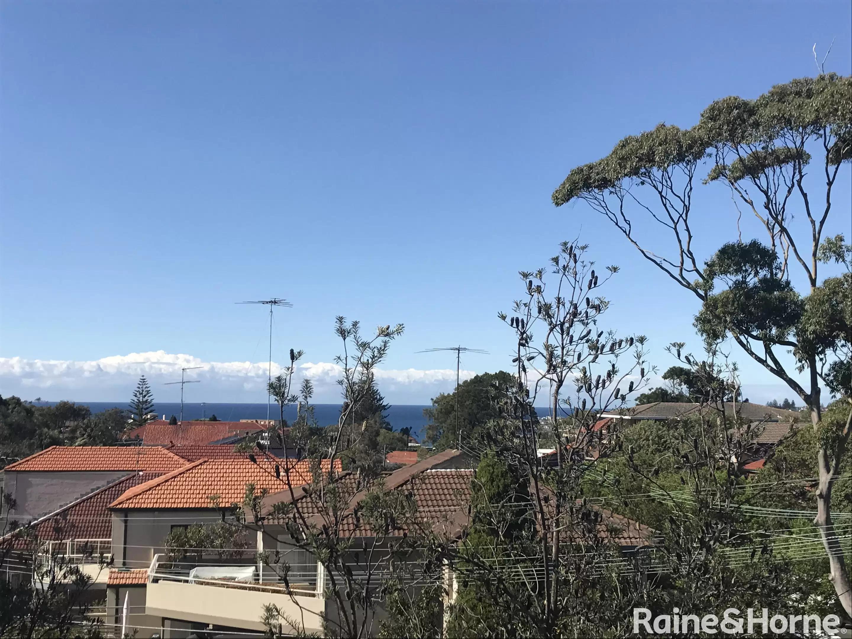 5/235 Clovelly Road, Clovelly For Lease by Raine & Horne Randwick | Coogee | Clovelly - image 2