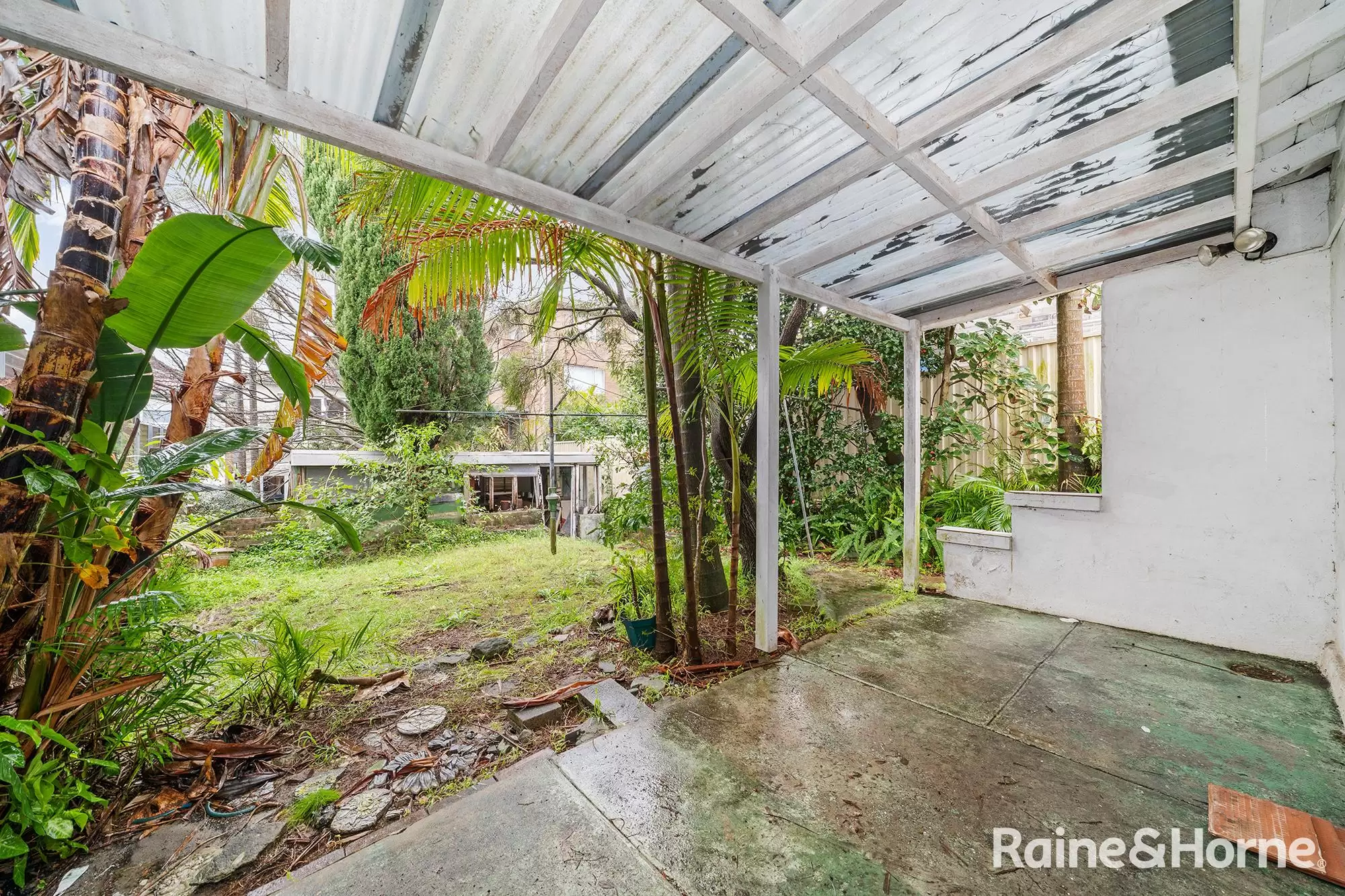 42 Chaleyer Street, Rose Bay Auction by Raine & Horne Randwick | Coogee | Clovelly - image 2