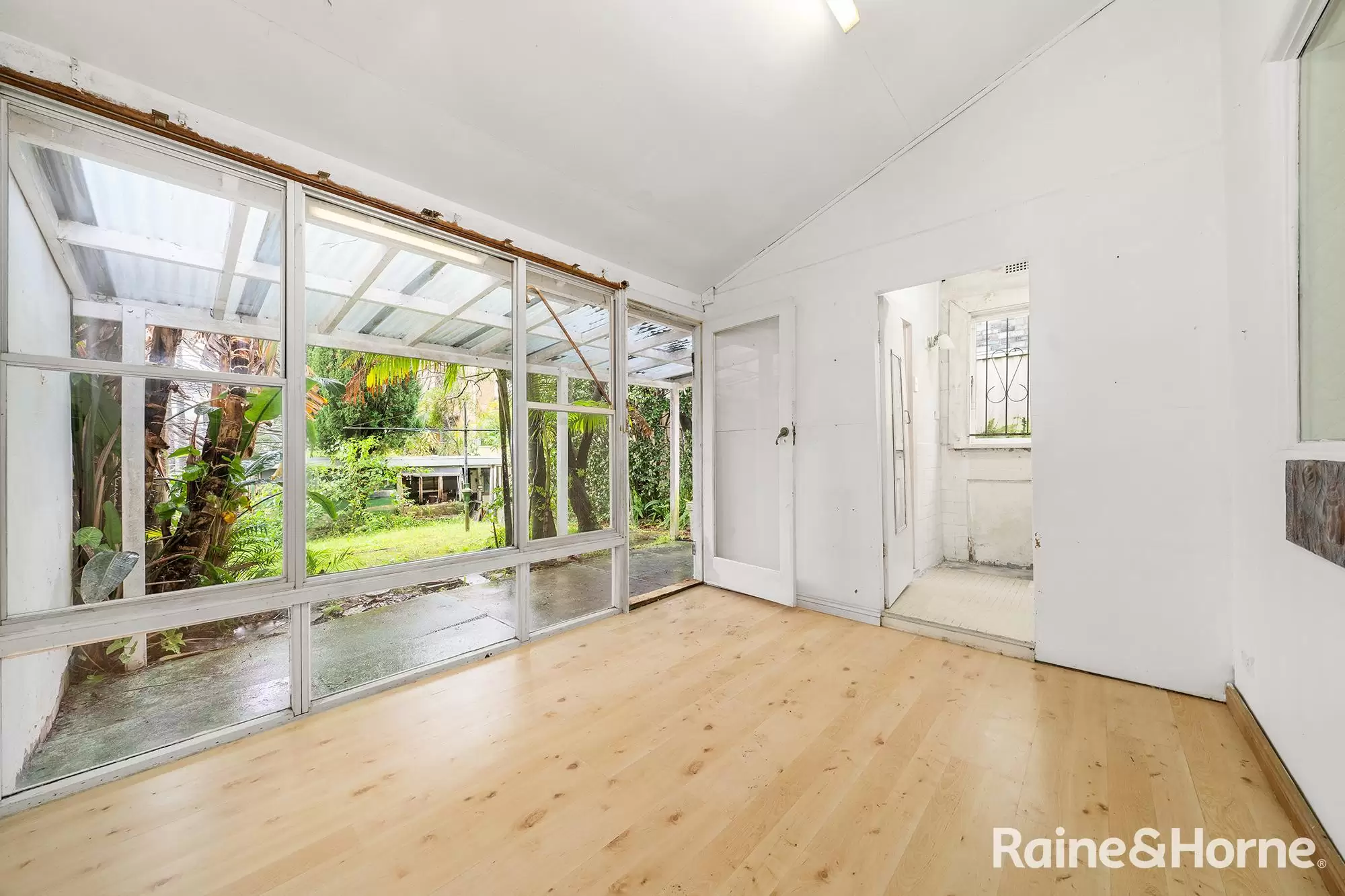 42 Chaleyer Street, Rose Bay Auction by Raine & Horne Randwick | Coogee | Clovelly - image 4