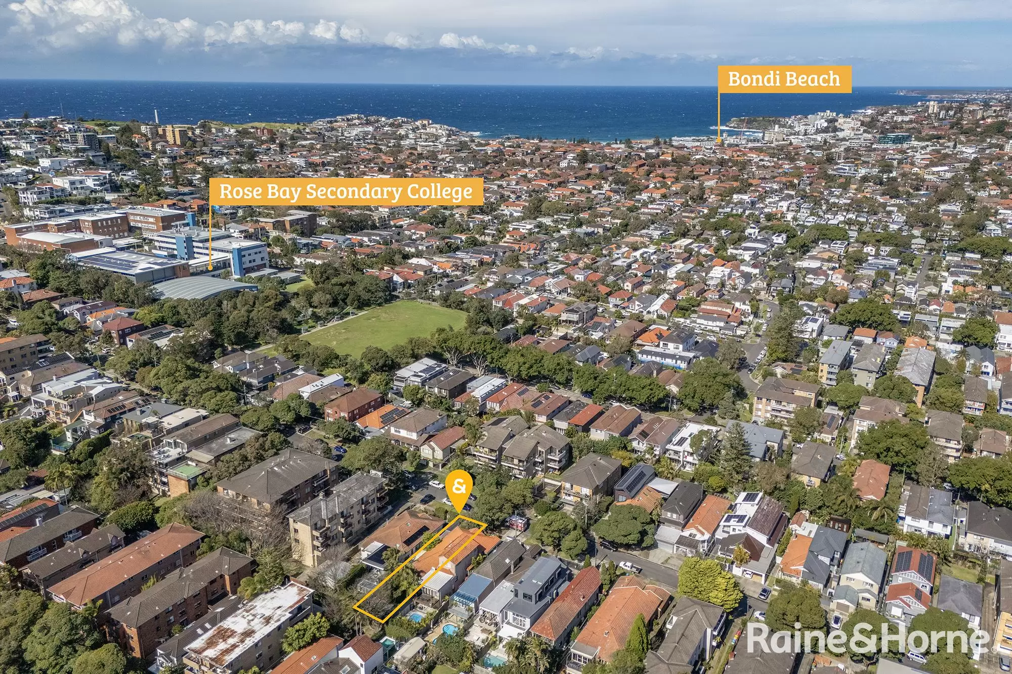 42 Chaleyer Street, Rose Bay Auction by Raine & Horne Randwick | Coogee | Clovelly - image 13