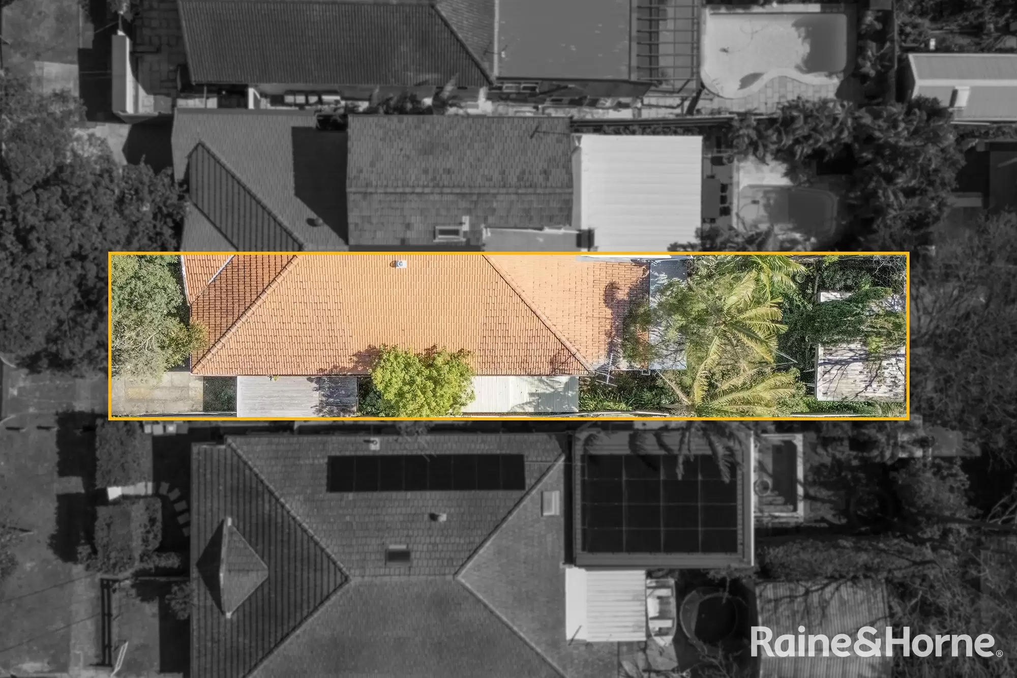 42 Chaleyer Street, Rose Bay Auction by Raine & Horne Randwick | Coogee | Clovelly - image 11