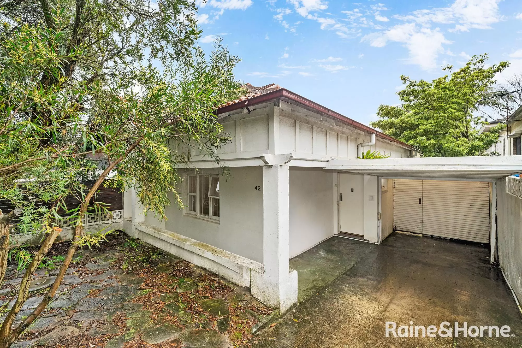 42 Chaleyer Street, Rose Bay Auction by Raine & Horne Randwick | Coogee | Clovelly - image 1