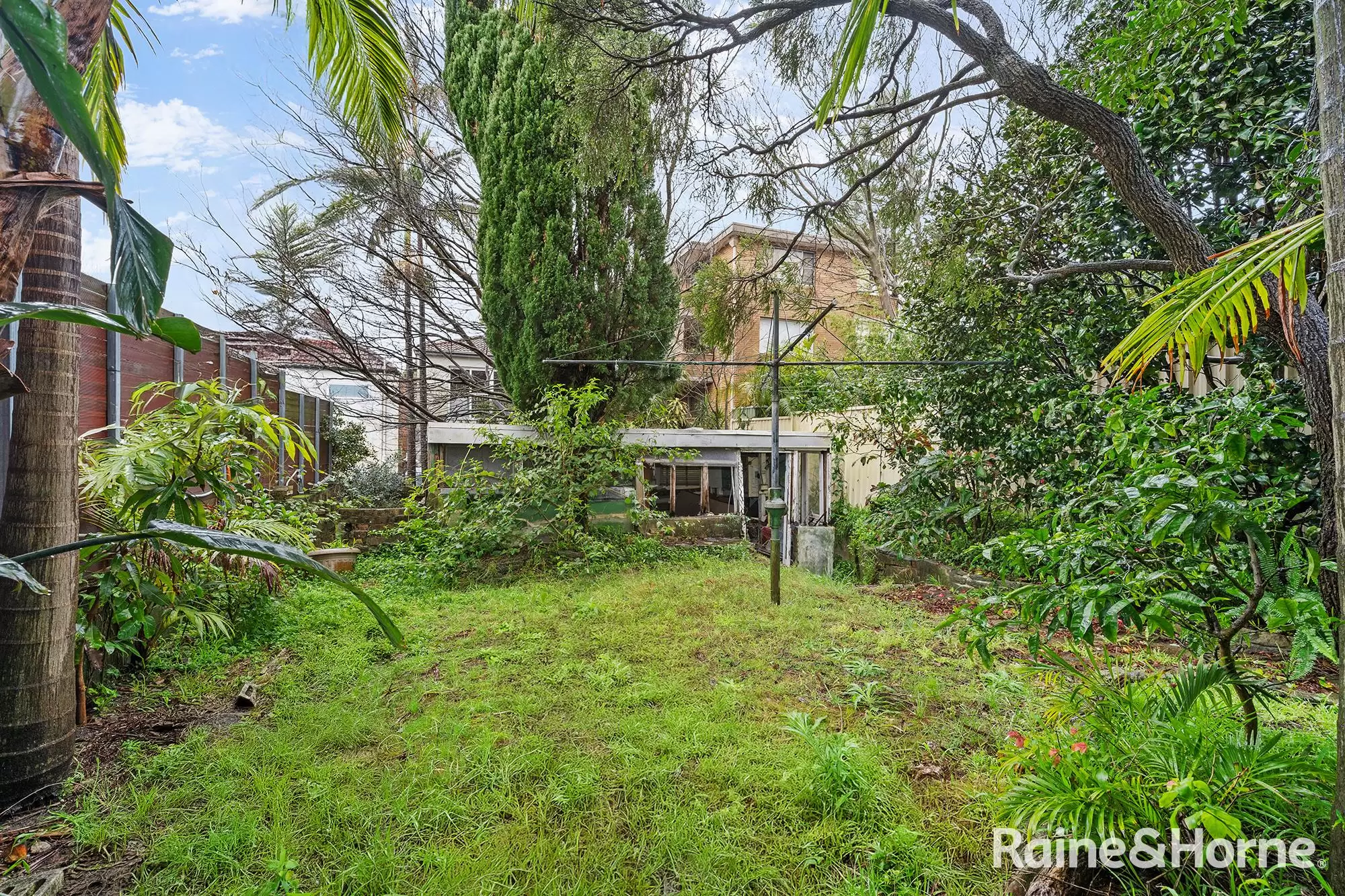 42 Chaleyer Street, Rose Bay Auction by Raine & Horne Randwick | Coogee | Clovelly - image 10