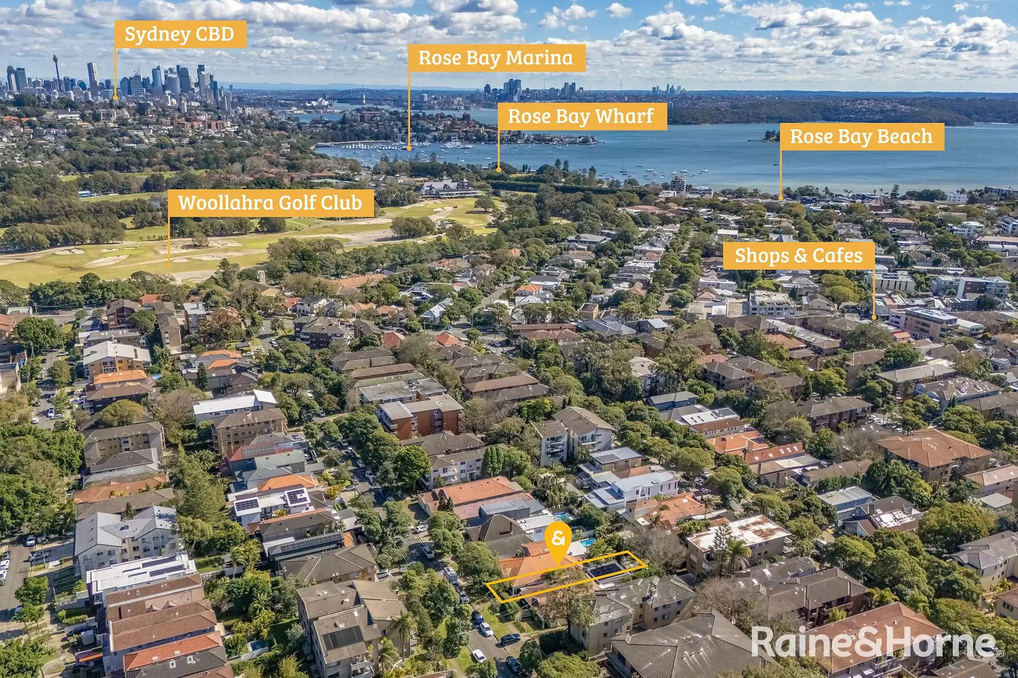 42 Chaleyer Street, Rose Bay Auction by Raine & Horne Randwick | Coogee | Clovelly - image 12