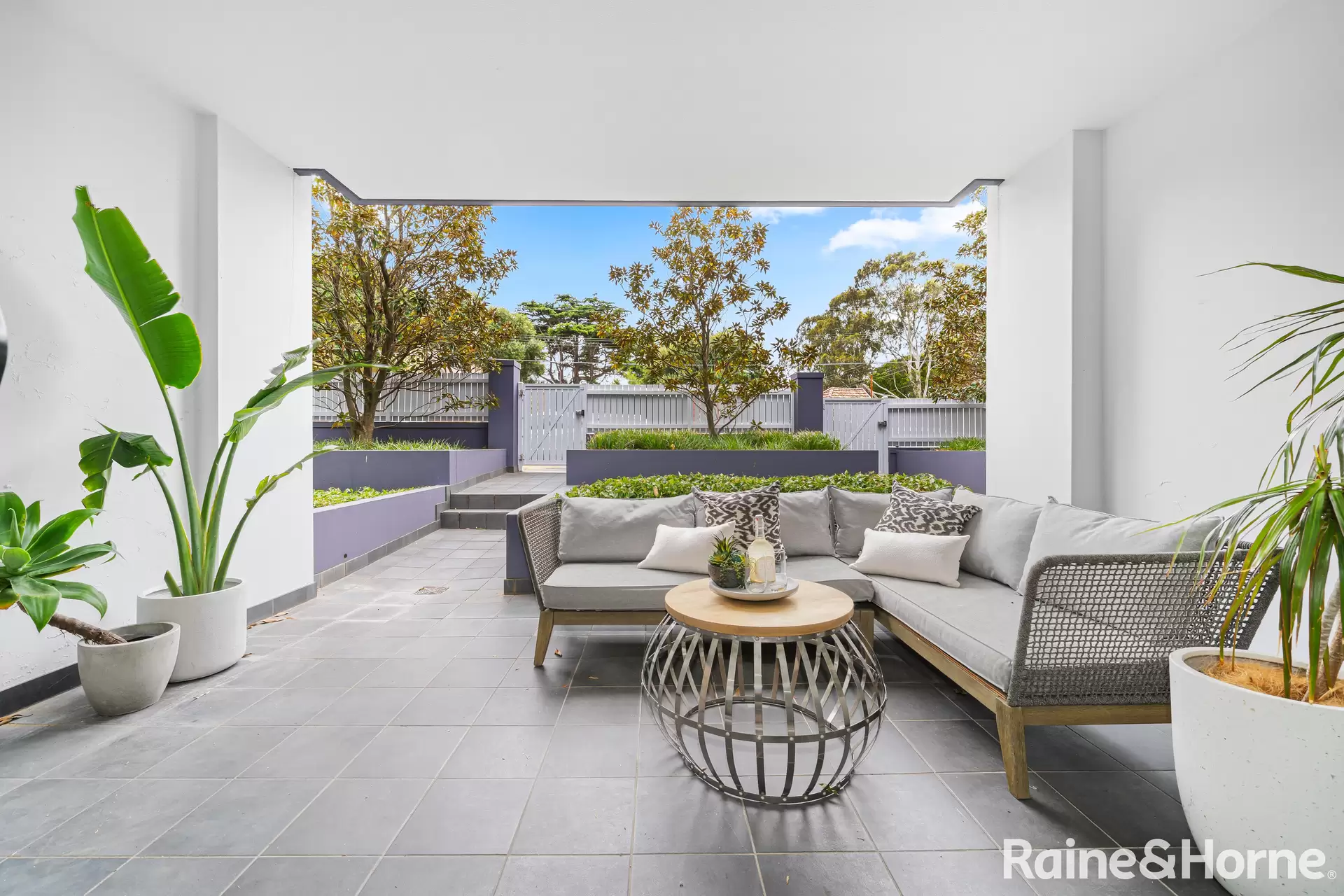 6/34 Avoca Street, Randwick Auction by Raine & Horne Randwick | Coogee | Clovelly