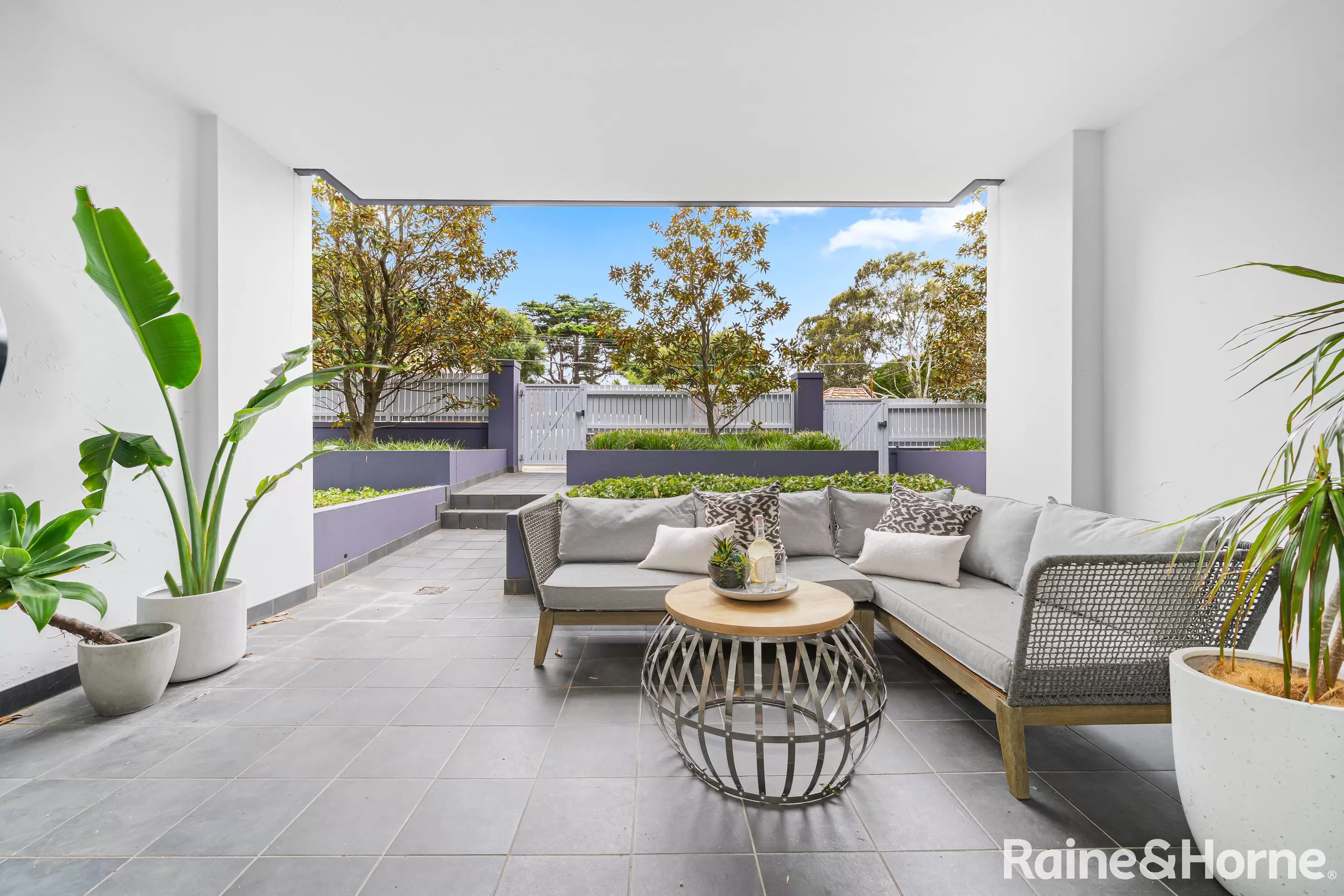 6/34 Avoca Street, Randwick Auction by Raine & Horne Randwick | Coogee | Clovelly - image 1