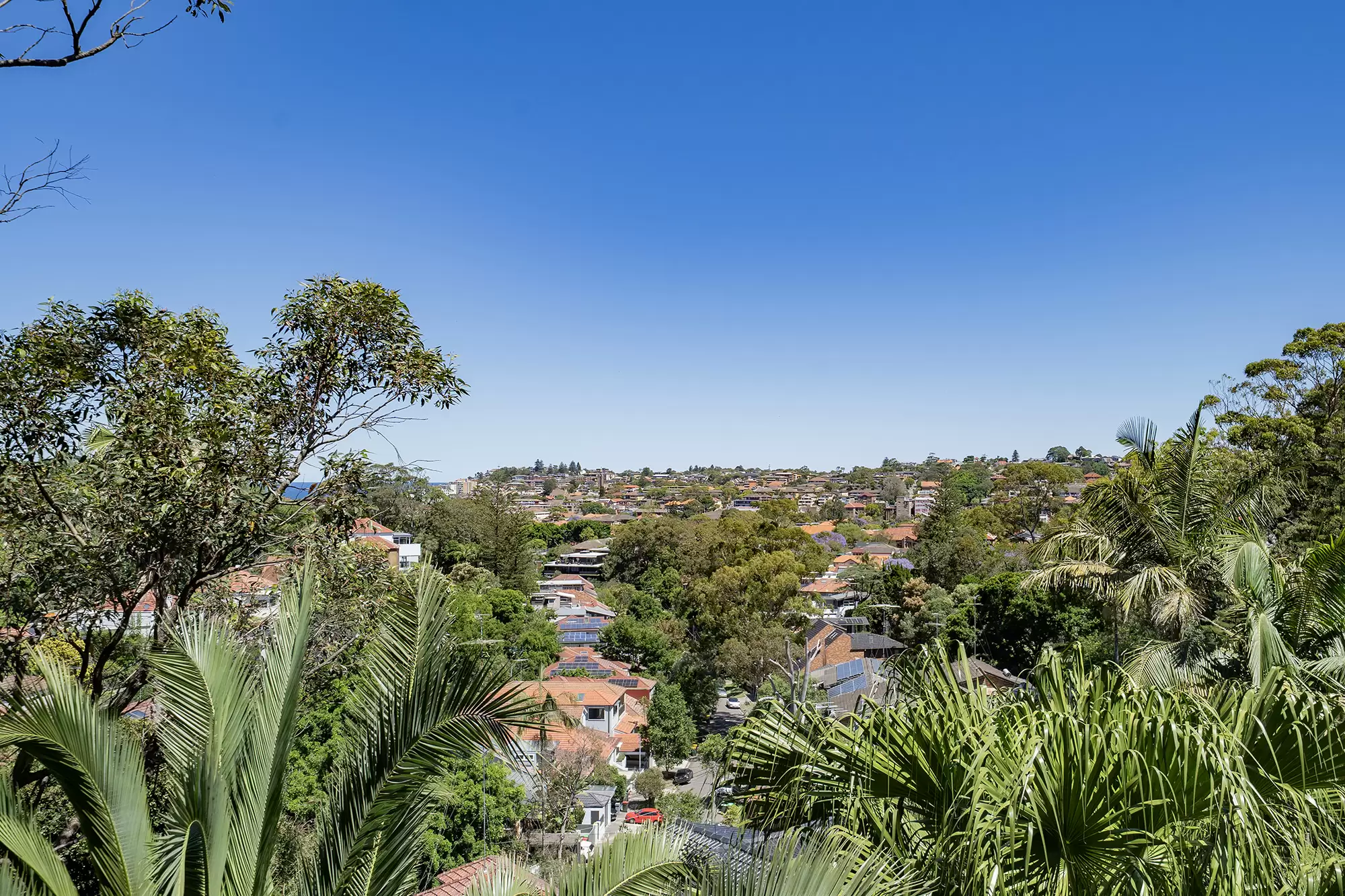 4/99 Carrington Road, Coogee For Lease by Raine & Horne Randwick | Coogee | Clovelly - image 5