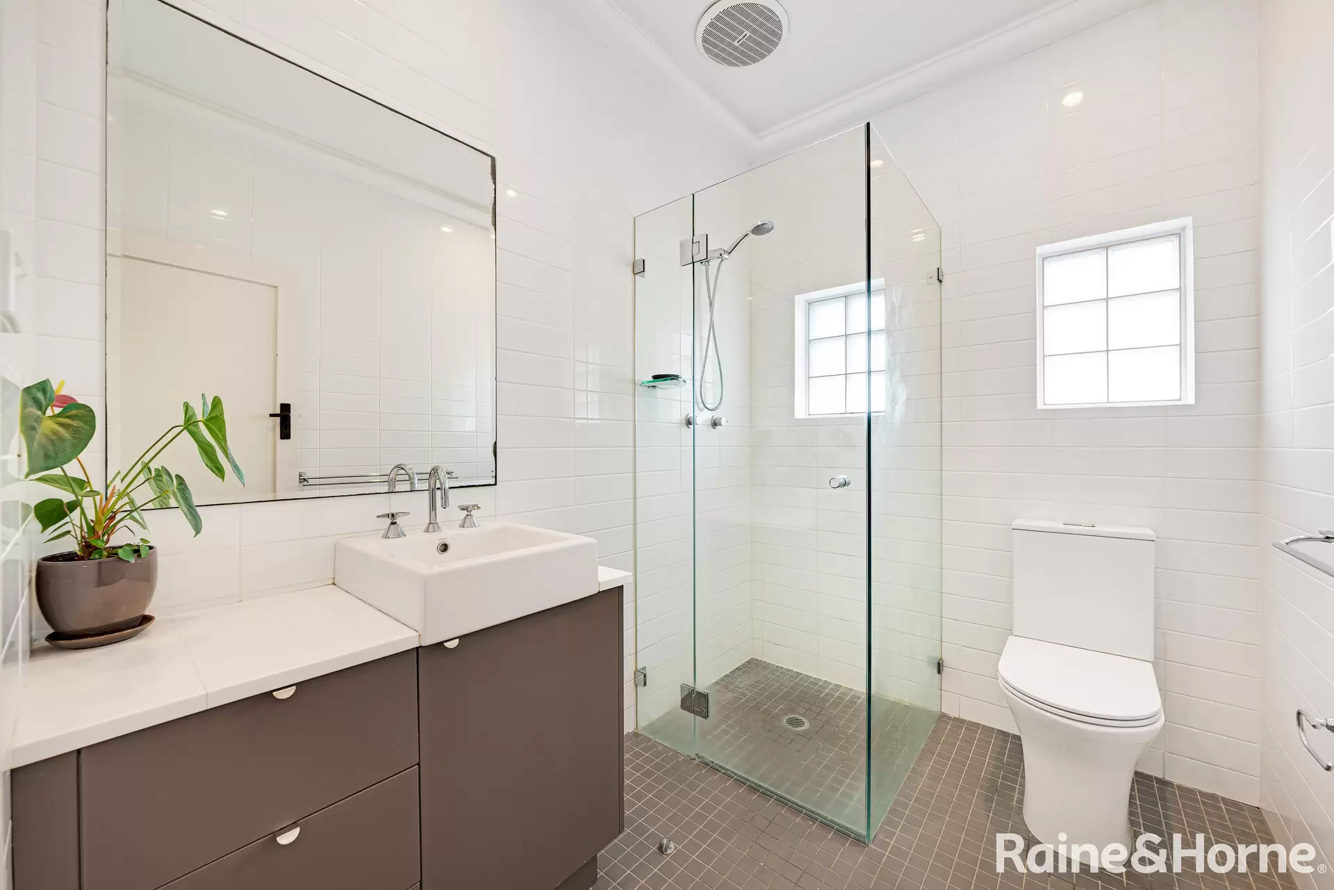 4/31B Fern Street, Clovelly For Lease by Raine & Horne Randwick | Coogee | Clovelly - image 1