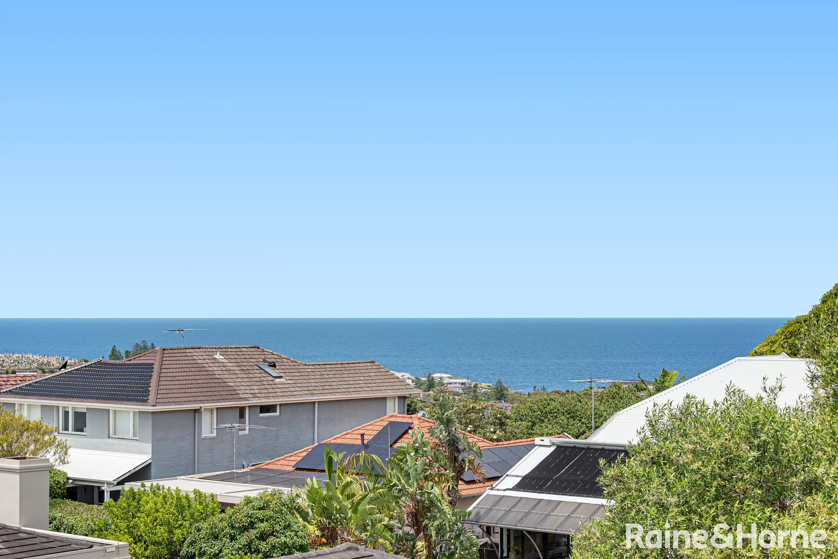 4/31B Fern Street, Clovelly For Lease by Raine & Horne Randwick | Coogee | Clovelly - image 4