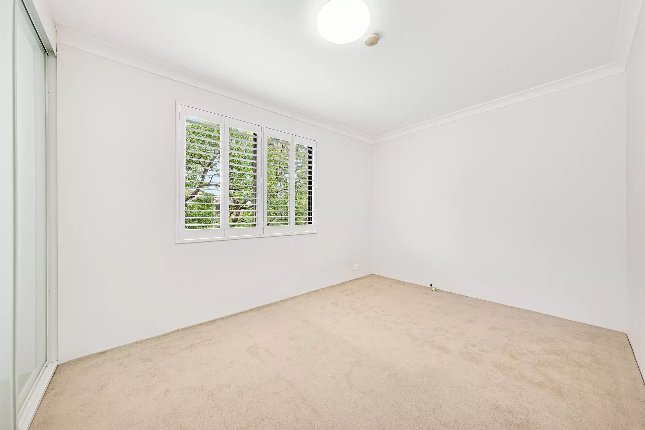 5/15-21 Duke Street, Kensington For Lease by Raine & Horne Randwick | Coogee | Clovelly - image 4