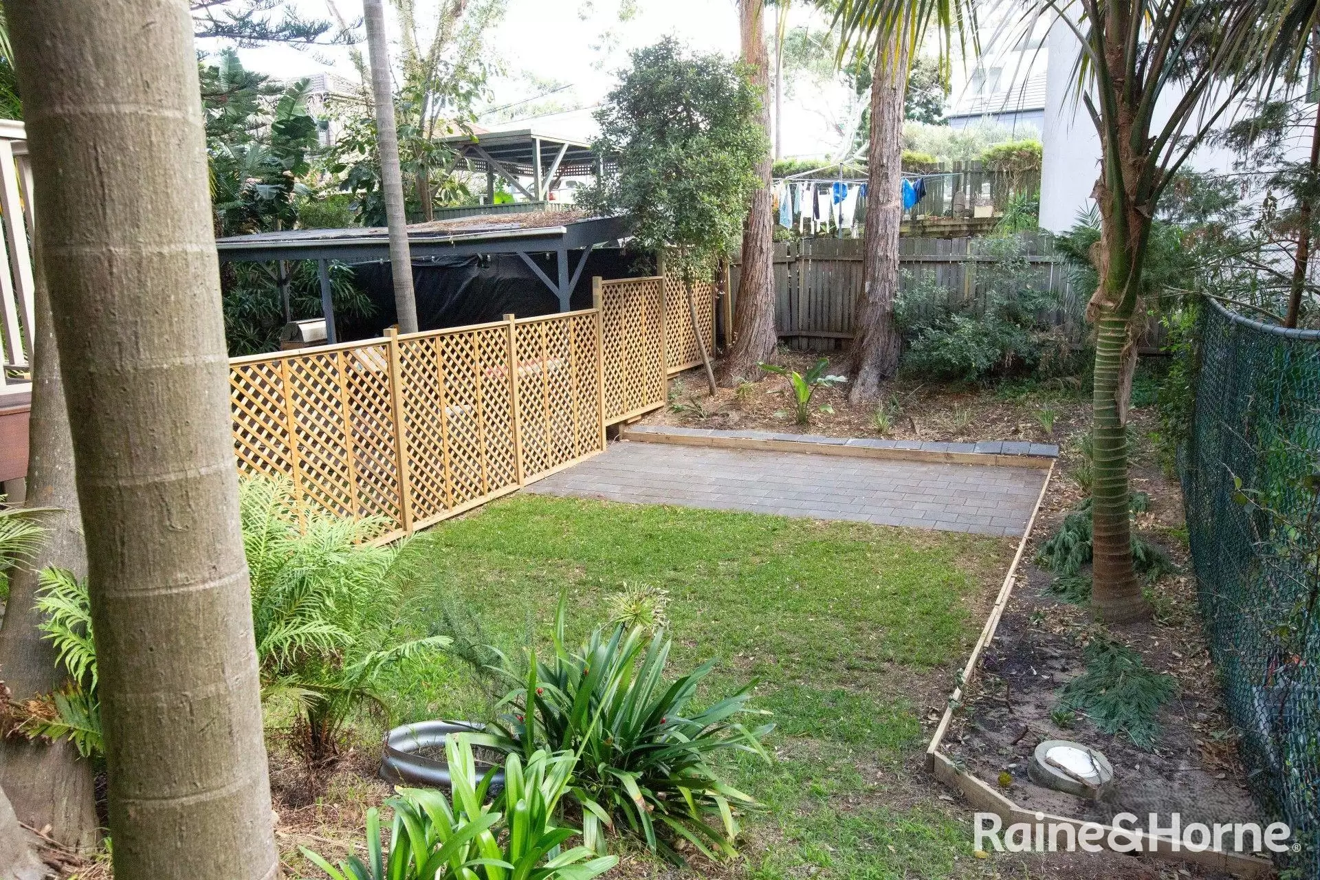 3/36 Keith Street, Clovelly For Lease by Raine & Horne Randwick | Coogee | Clovelly - image 7